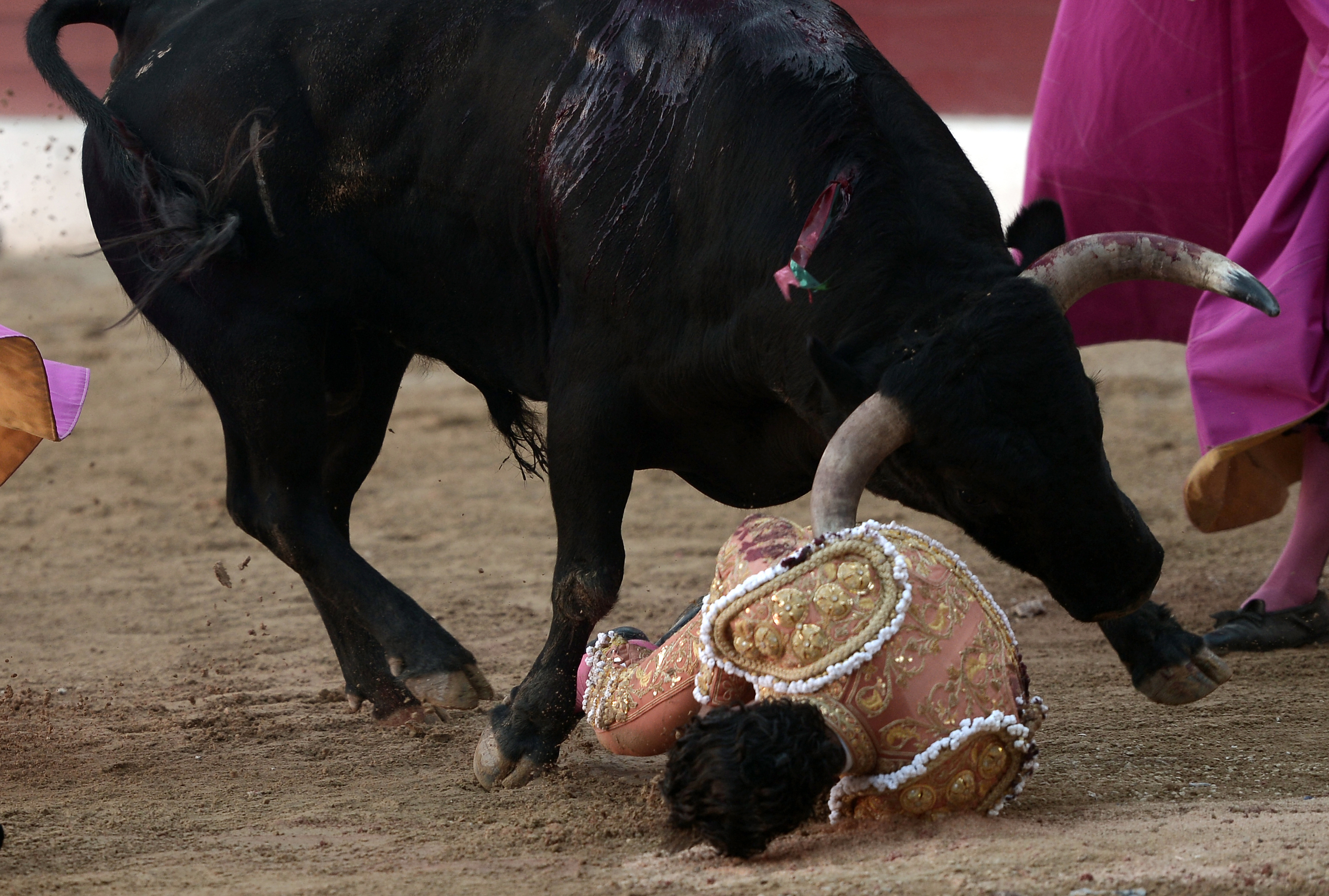 Matadort ölt a dühödt bika egy francia viadalon