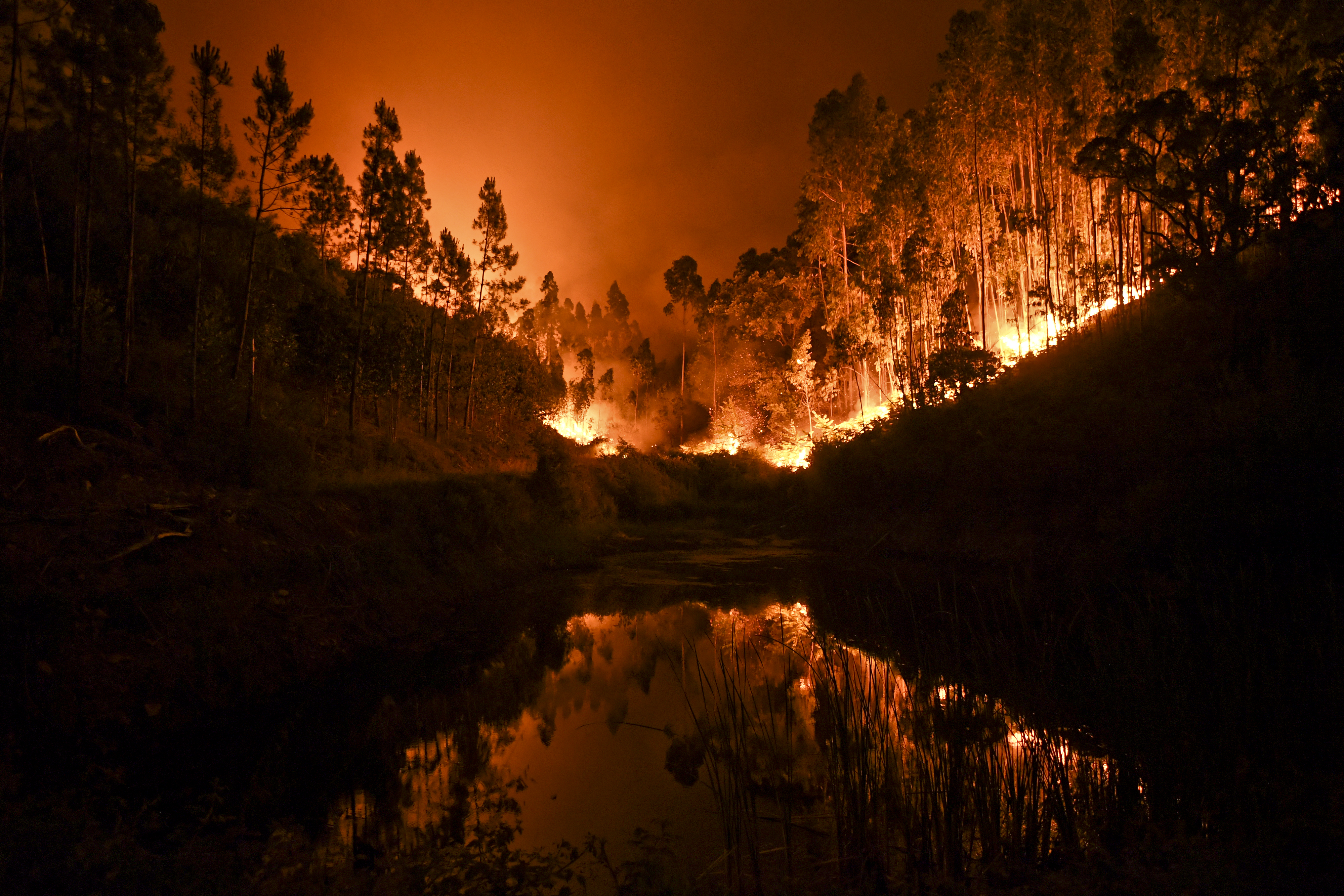 A portugál erdőtűz csapdájába ejtett 12 embert, akik egy víztartályba bújva maradtak életben