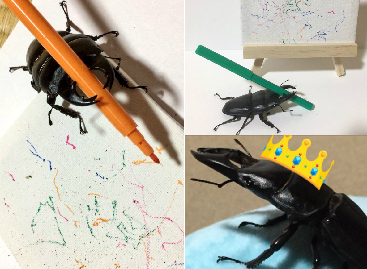 Megtanult filctollal rajzolni, interneten árusítja műveit egy szarvasbogár