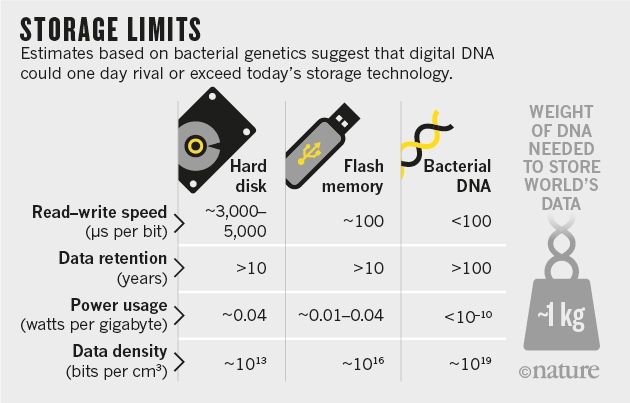 A DNS mint információtároló: lassú, de hatékony.