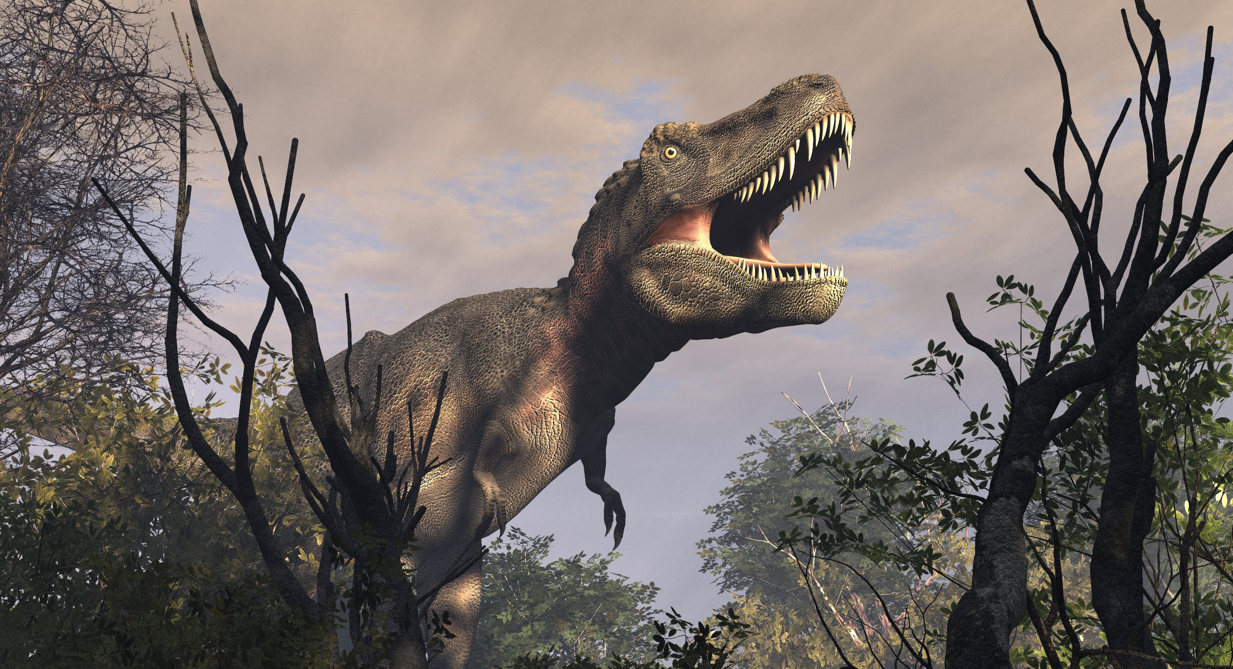Jóval lassabb lehetett a T-Rex, mint ahogy a filmekben ábrázolják