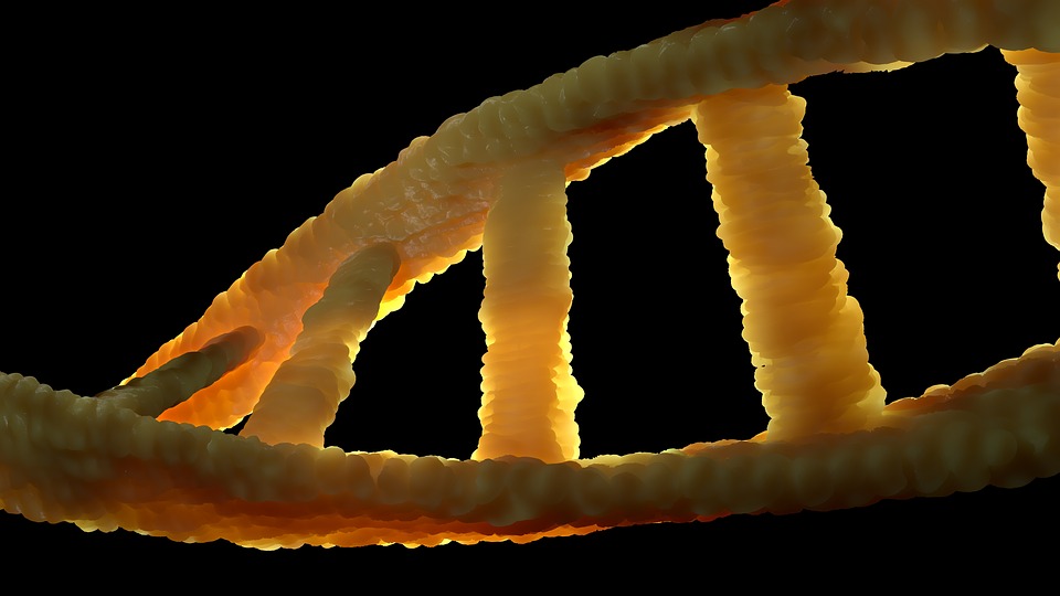 Egy kínai kutató azt állítja, páciense megszülte a világ első génmódosított ikerpárját