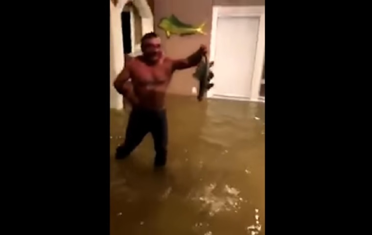 Egy houstoni fickó a saját házában fogott halat, miután a Harvey hurrikán feltöltötte azt vízzel