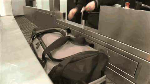 Utasnak álcázott rendőrök csípték fülön a táskában kutakodó reptéri rakodómunkást