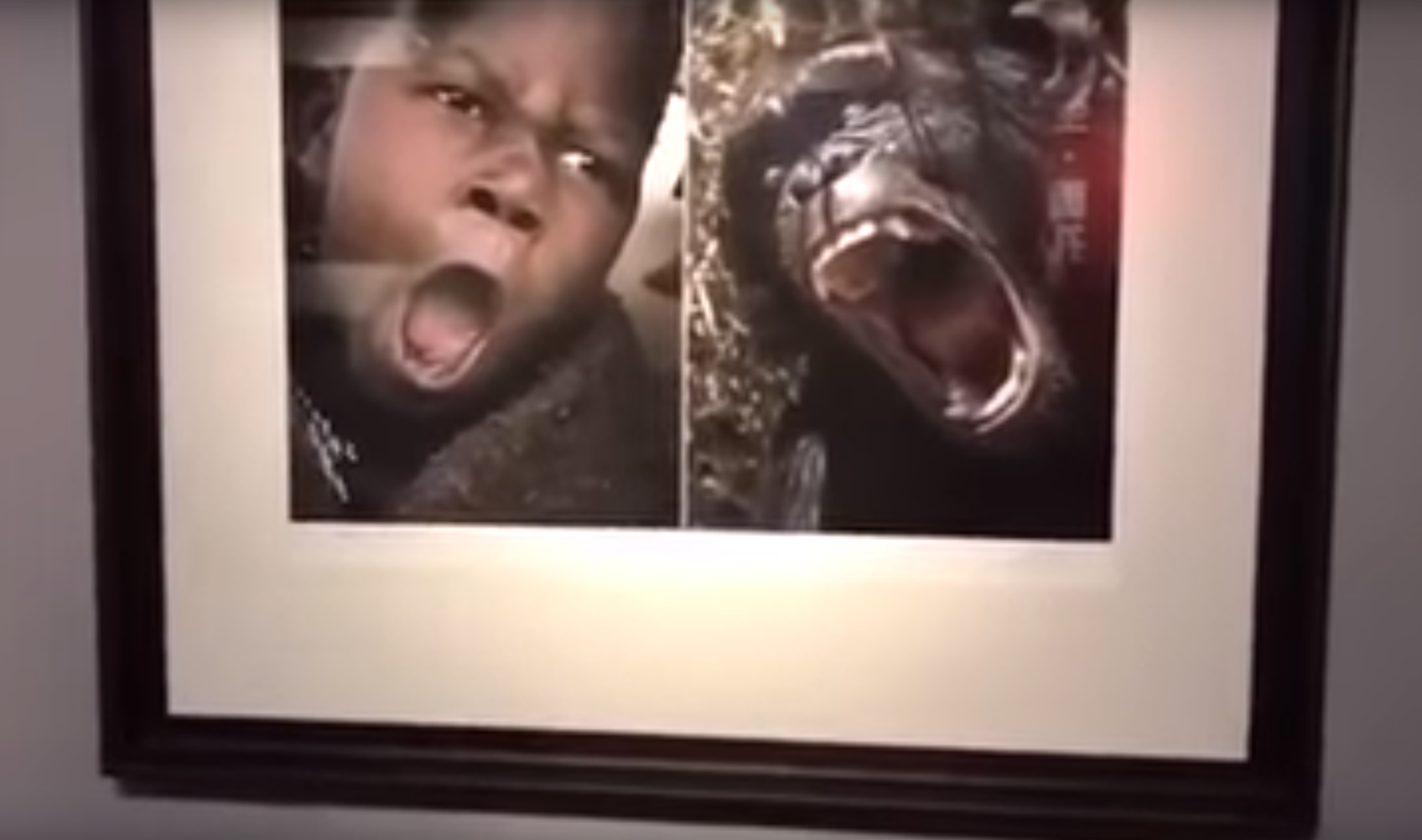 Óriási botrány lett a kínai kiállításból, ami szerint az afrikaiak olyanok, mint az állatok