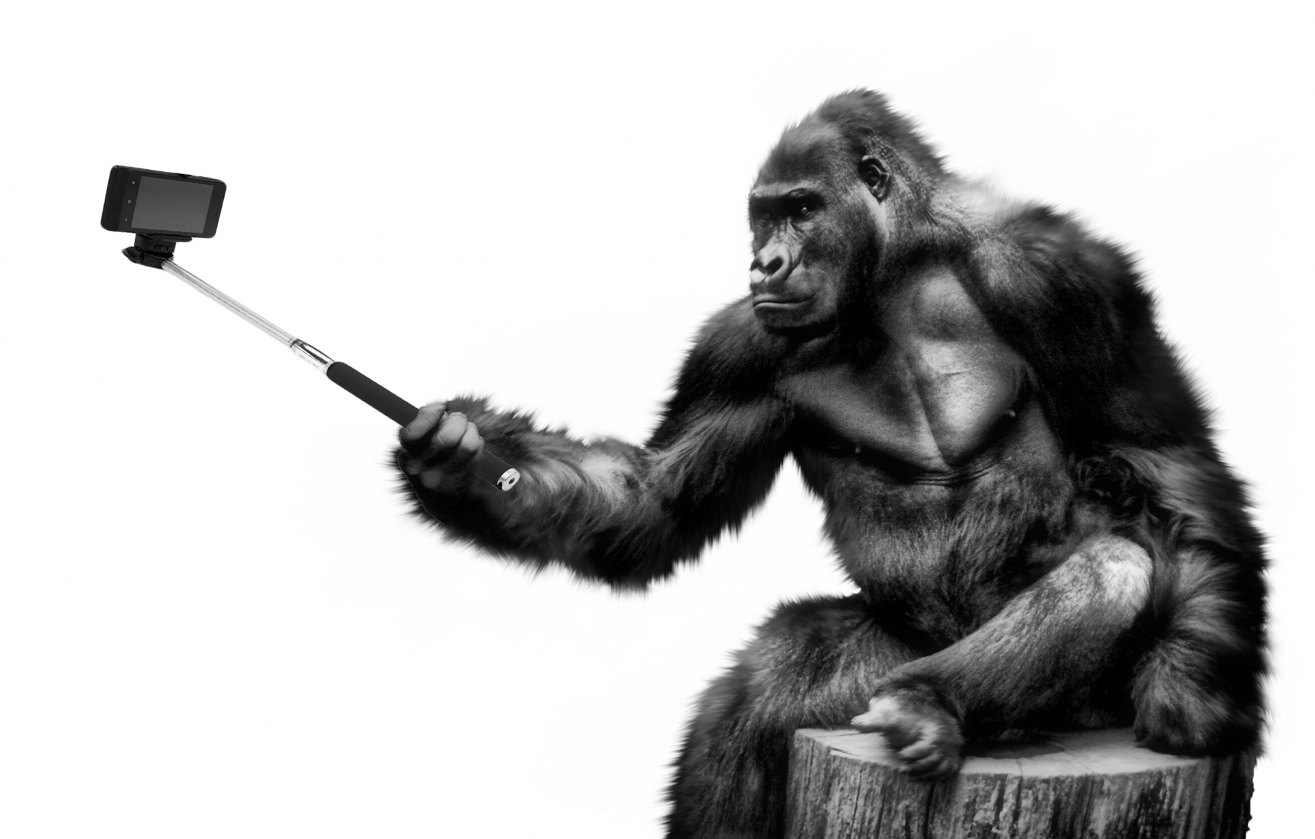 A Gorilla Glass miatt szárnyal az okostelefon-üvegek óriása
