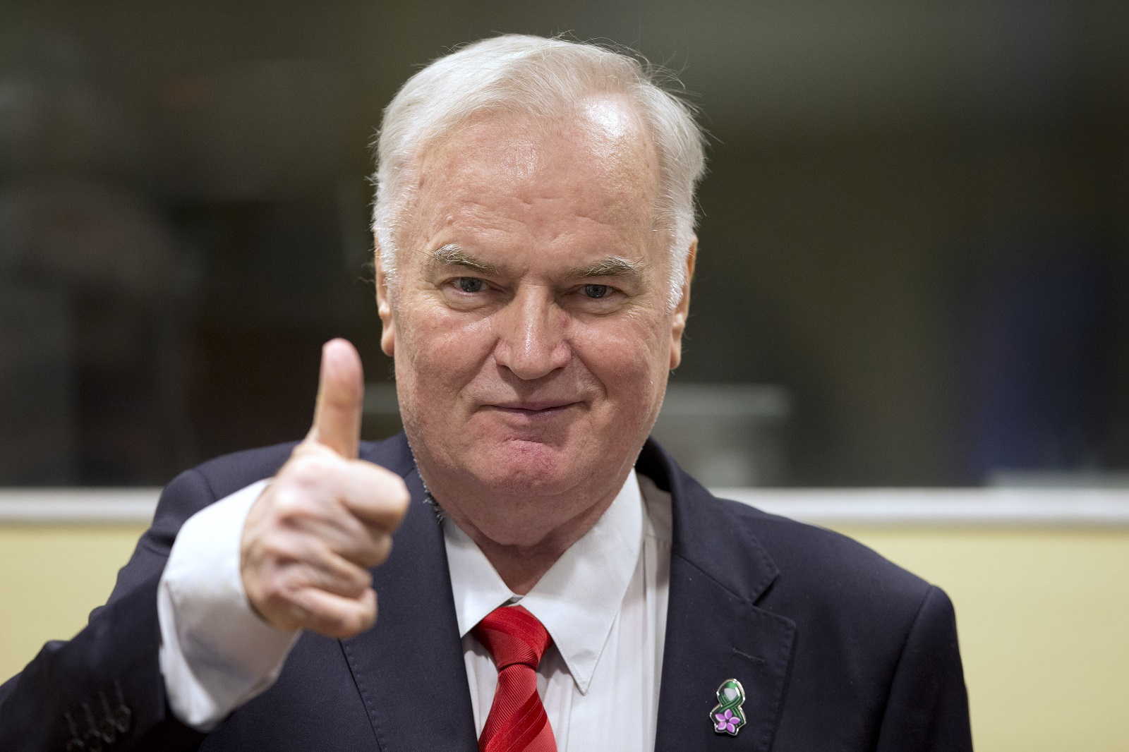 Mladic megérkezik a szerdai hágai ítélethirdetésre.