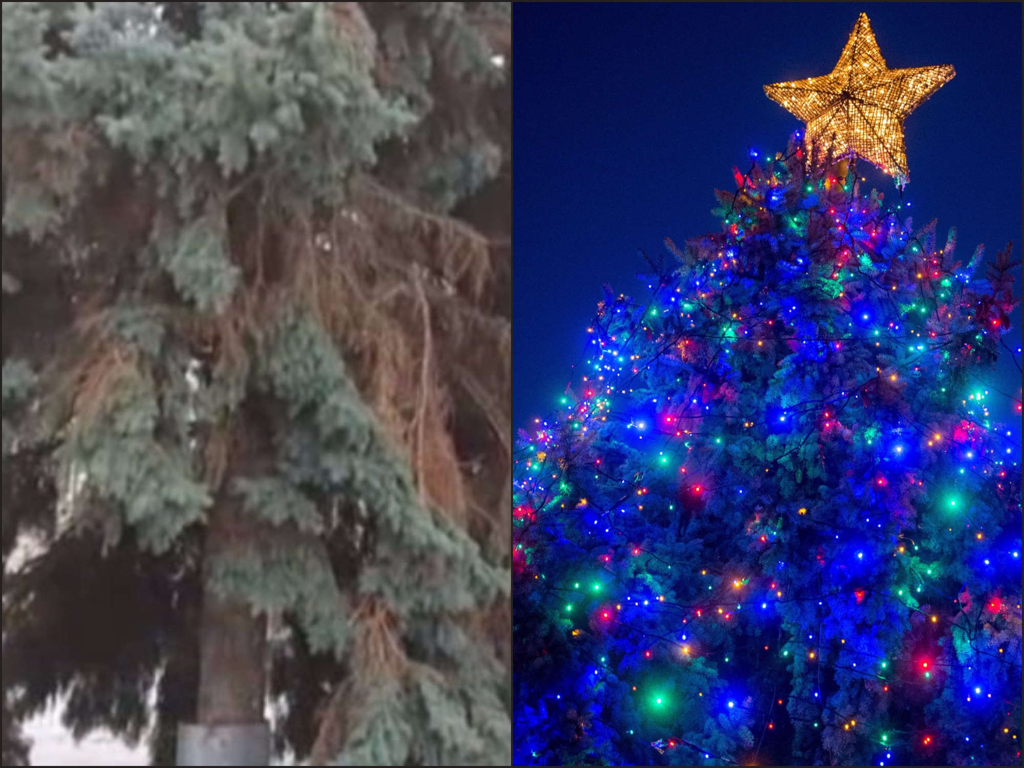 Hát vannak még csodák: kivilágítva támadt fel az ország ronda karácsonyfája