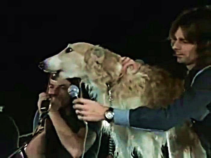Két kutya, akik együtt vonyíthattak a Pink Floyddal