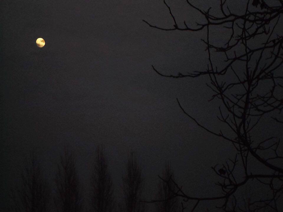 A leghosszabb éjszaka. -  Sohasem fogom elfelejteni azt az éjszakát. Azt a napot, mikor úgy megvert, hogy már nem bírtam tovább, segítséget hívtam...Mintha hittek volna nekem, talán még sajnáltak is. Aztán beszéltek vele és minden megváltozott. Nem vitték el, nem tartóztatták le, és én ott maradtam a gyerekekkel együtt, egy házban vele... Sohasem éreztem magam olyan egyedül, mint akkor. Annak ellenére, hogy segítséget kértem. Nem volt segítség.