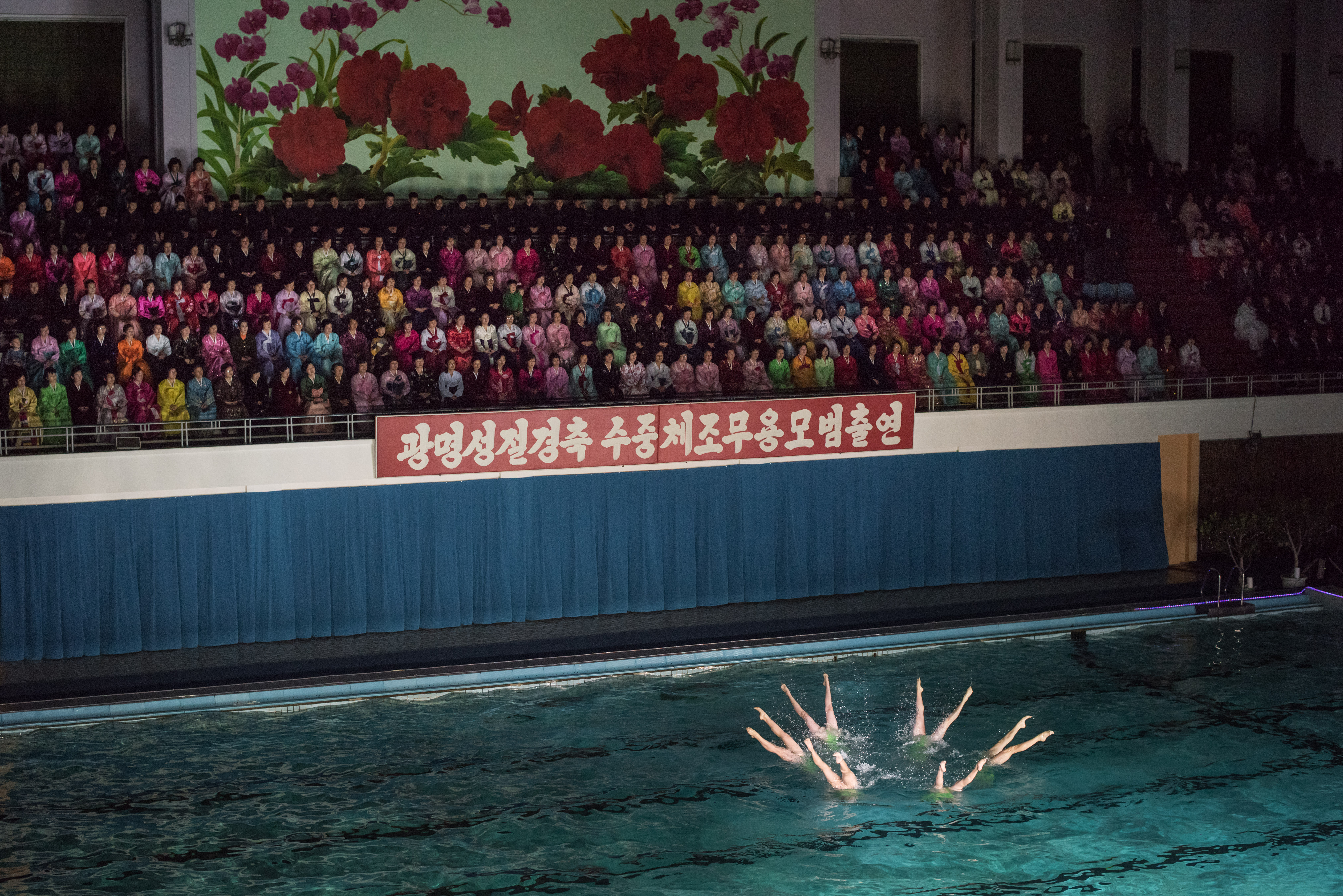 In a photo taken on February 15, 2017 swimmers perform in a synchronized swimming gala event in Pyongyang..The gala was part of a series of events being held to