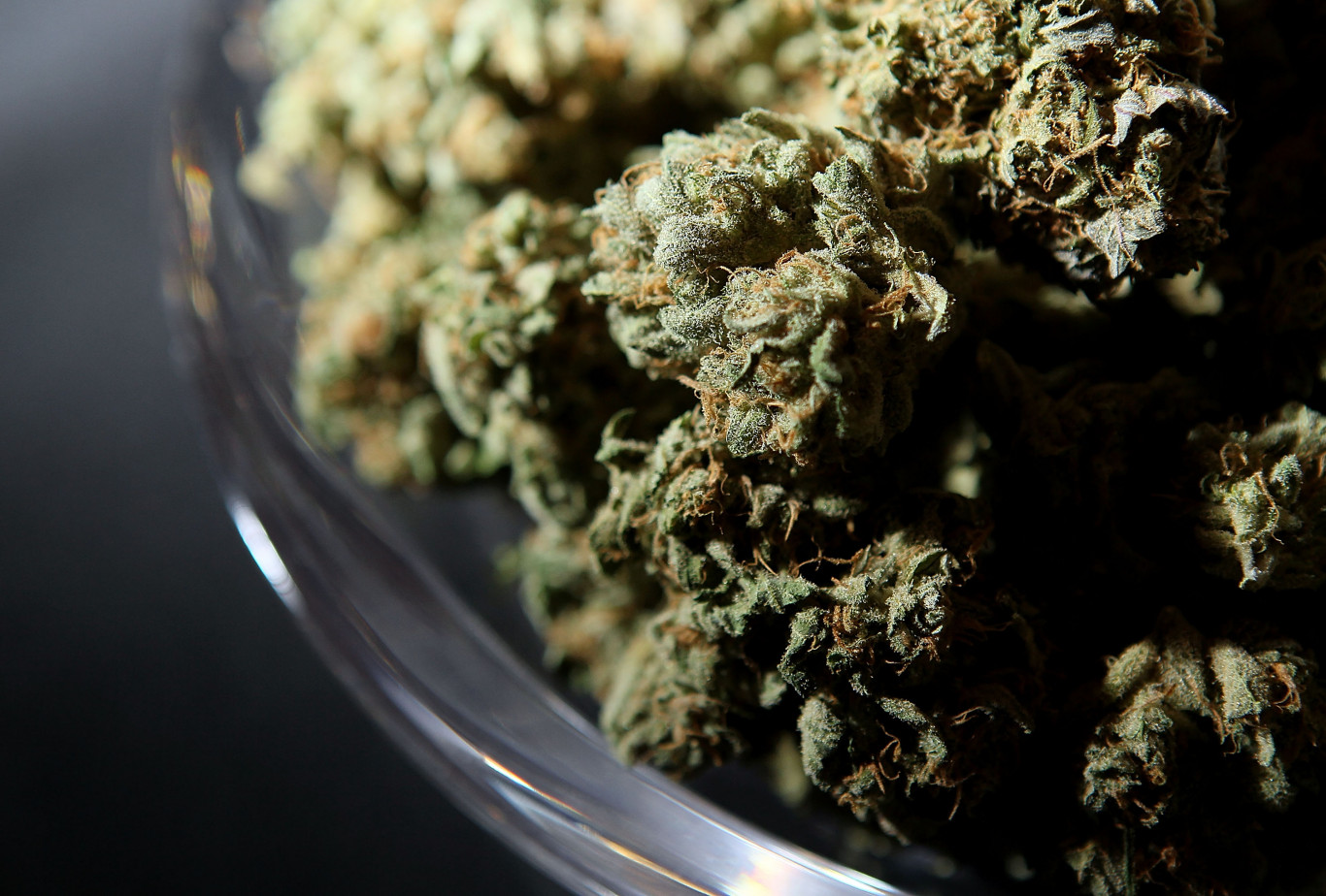 Pénteken szavaznak a fű legalizálásáról Németországban