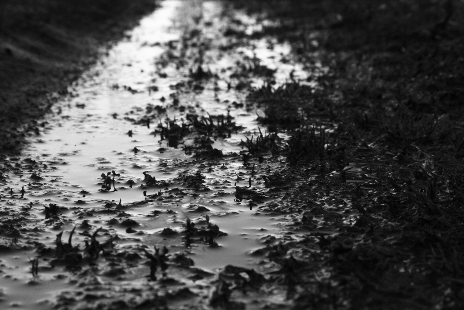 Дождь и грязь