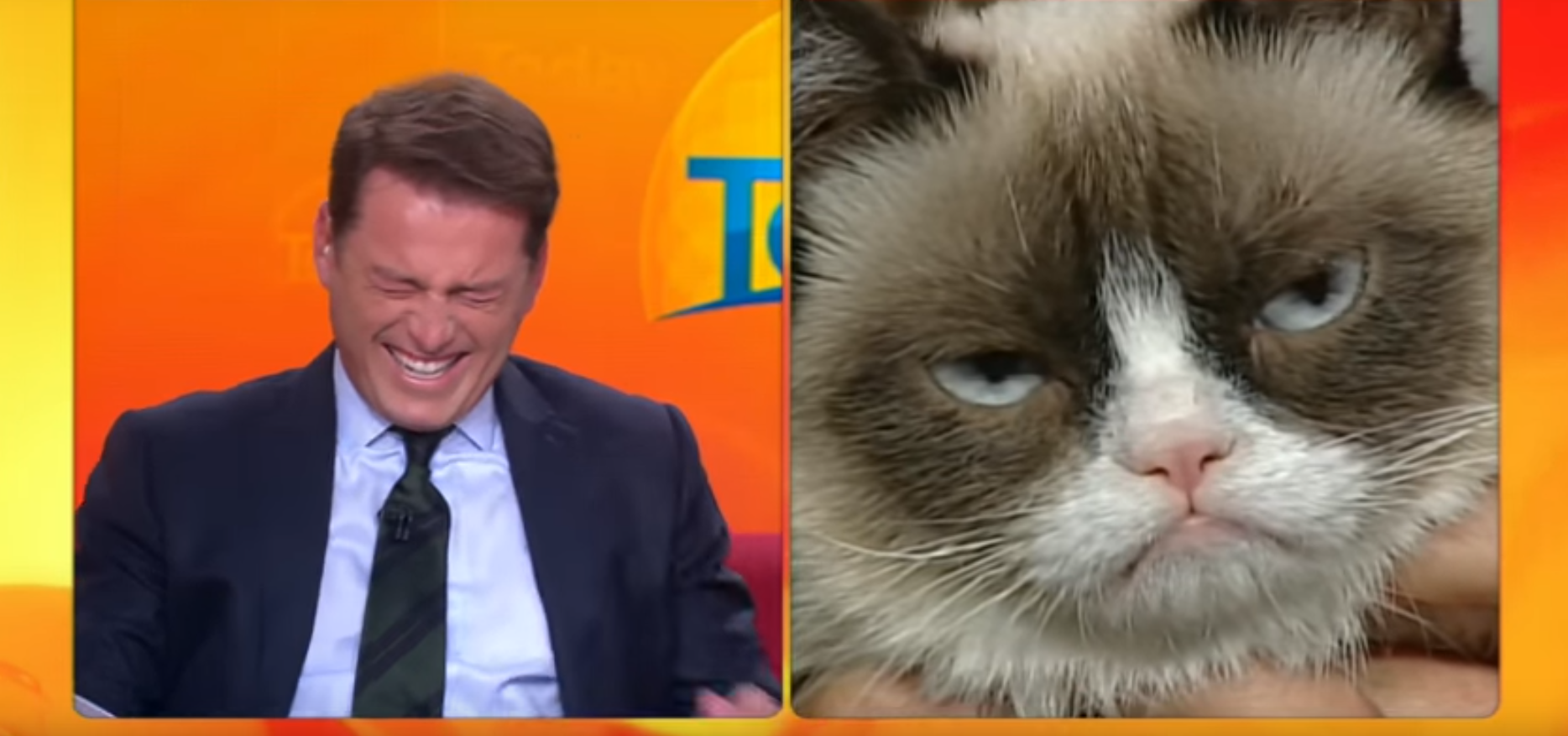 Grumpy Cat nyert 710 ezer dollárt, mert lenyúlták azt a savanyú képét