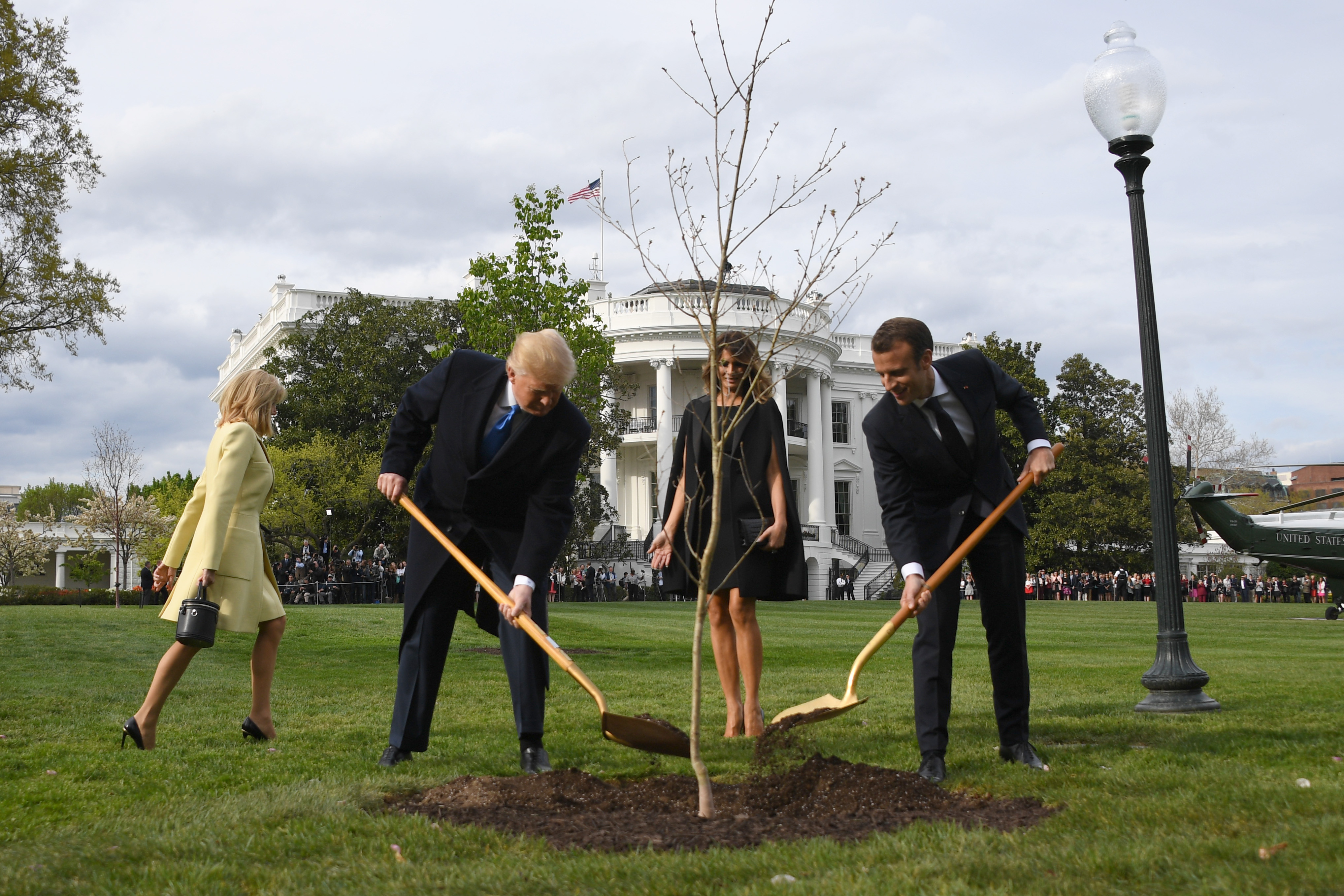 Eltűnt a fa, amit Macron adott Trumpnak