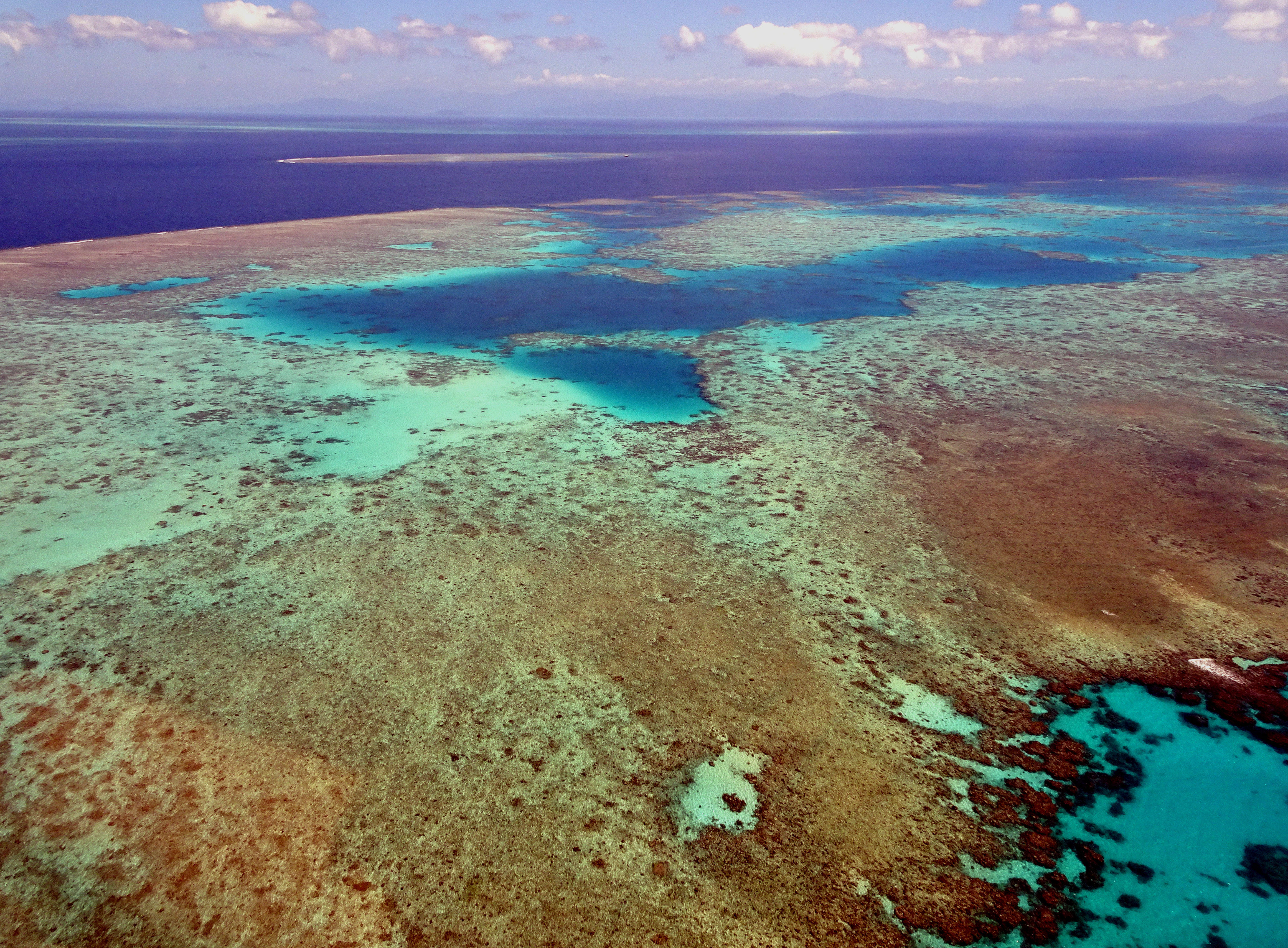 Röpke három év alatt csendben megfőtt a Nagy-korallzátony harmada