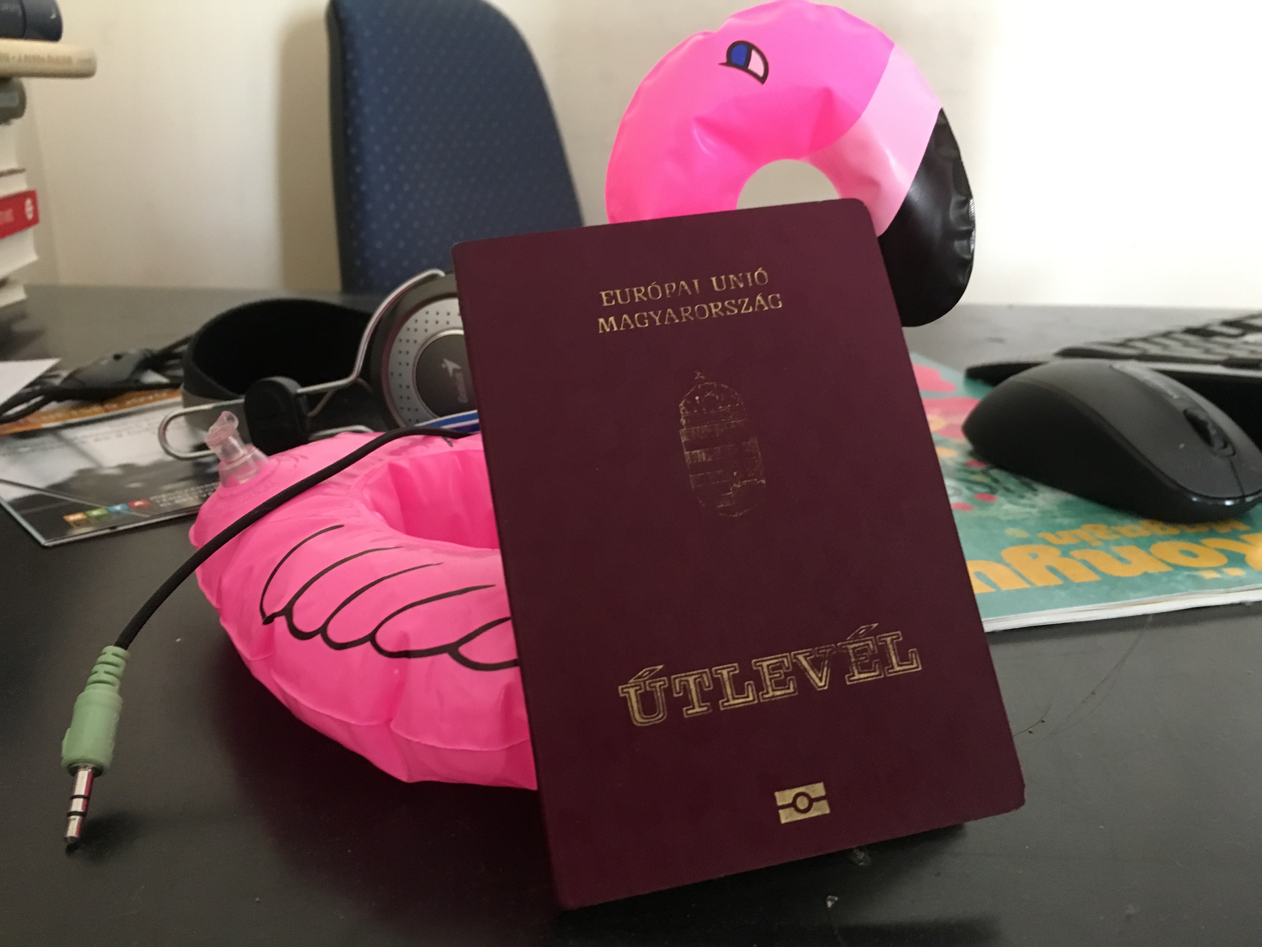 Magyaroknak nyomtathat 250 ezer biometrikus útlevelet Törökország