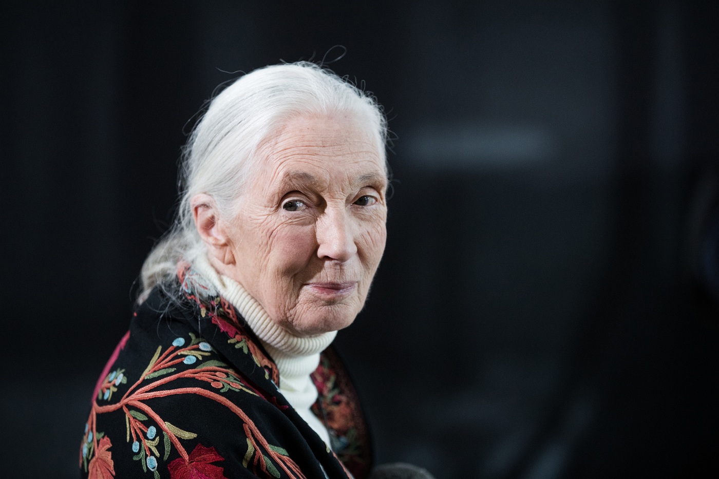 Jane Goodall Budapesten: Még Donald Trump is jó lehet valamire