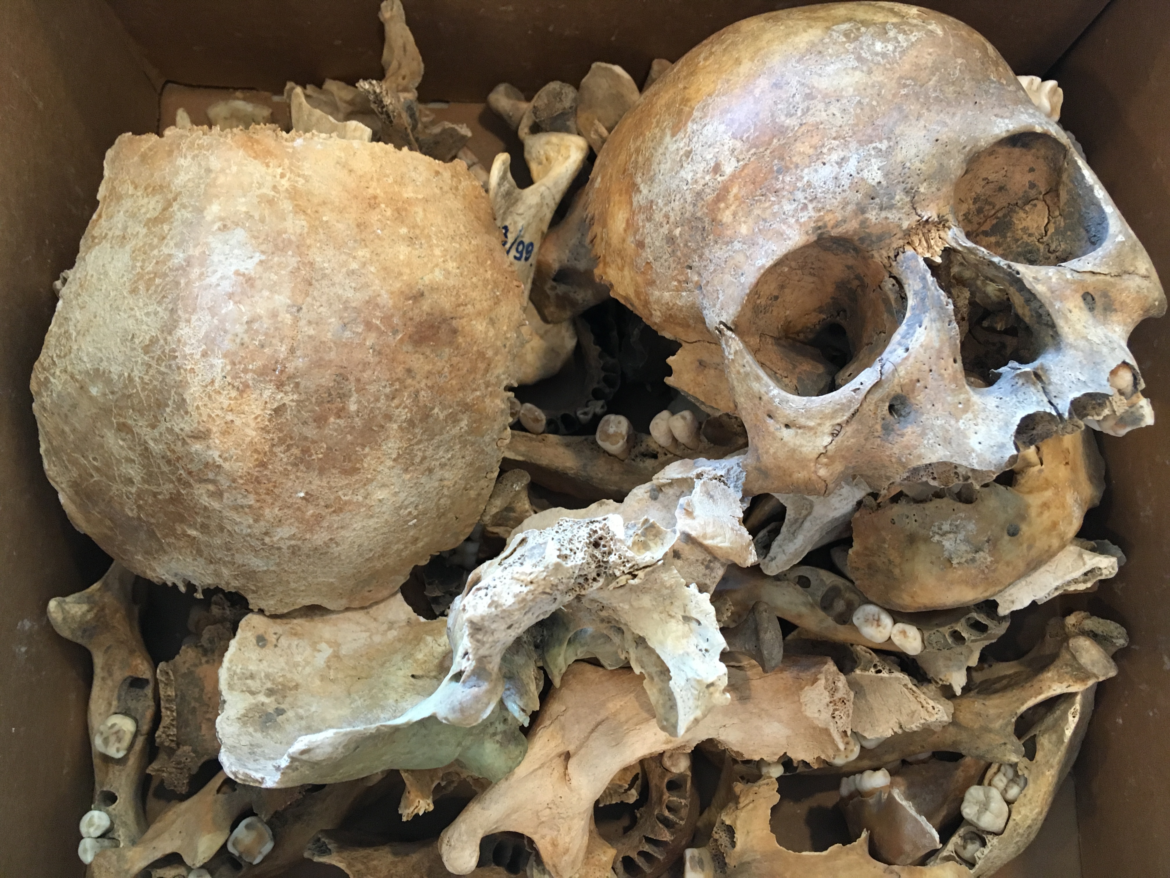 Illegális átkok Aquincumból, ókori csípőficam és torzított koponyák a Kárpát-medencében