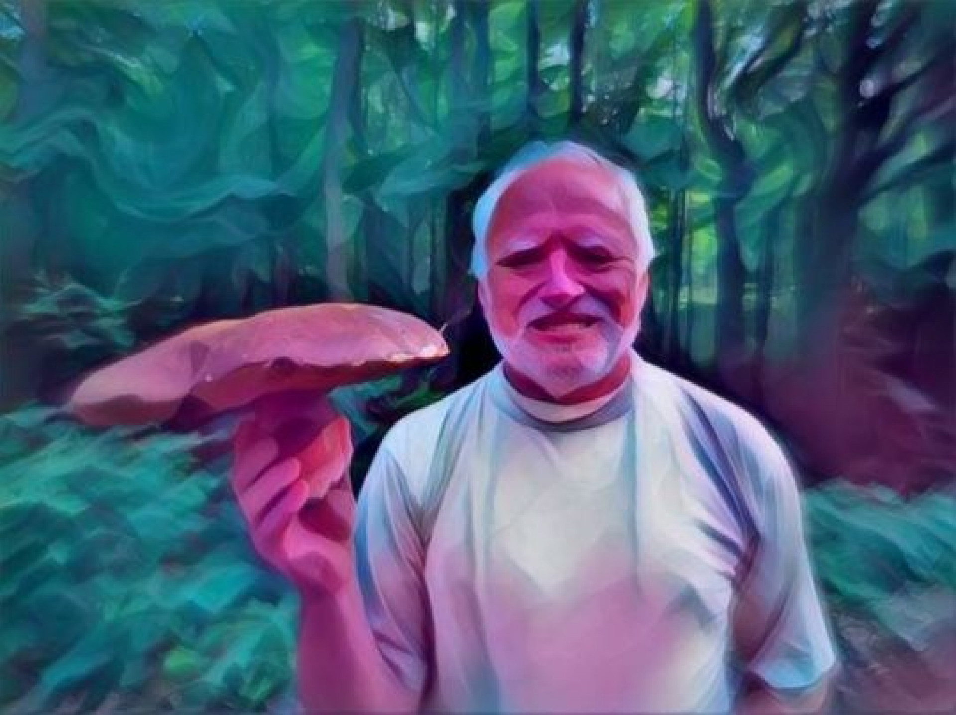 Harold гриб