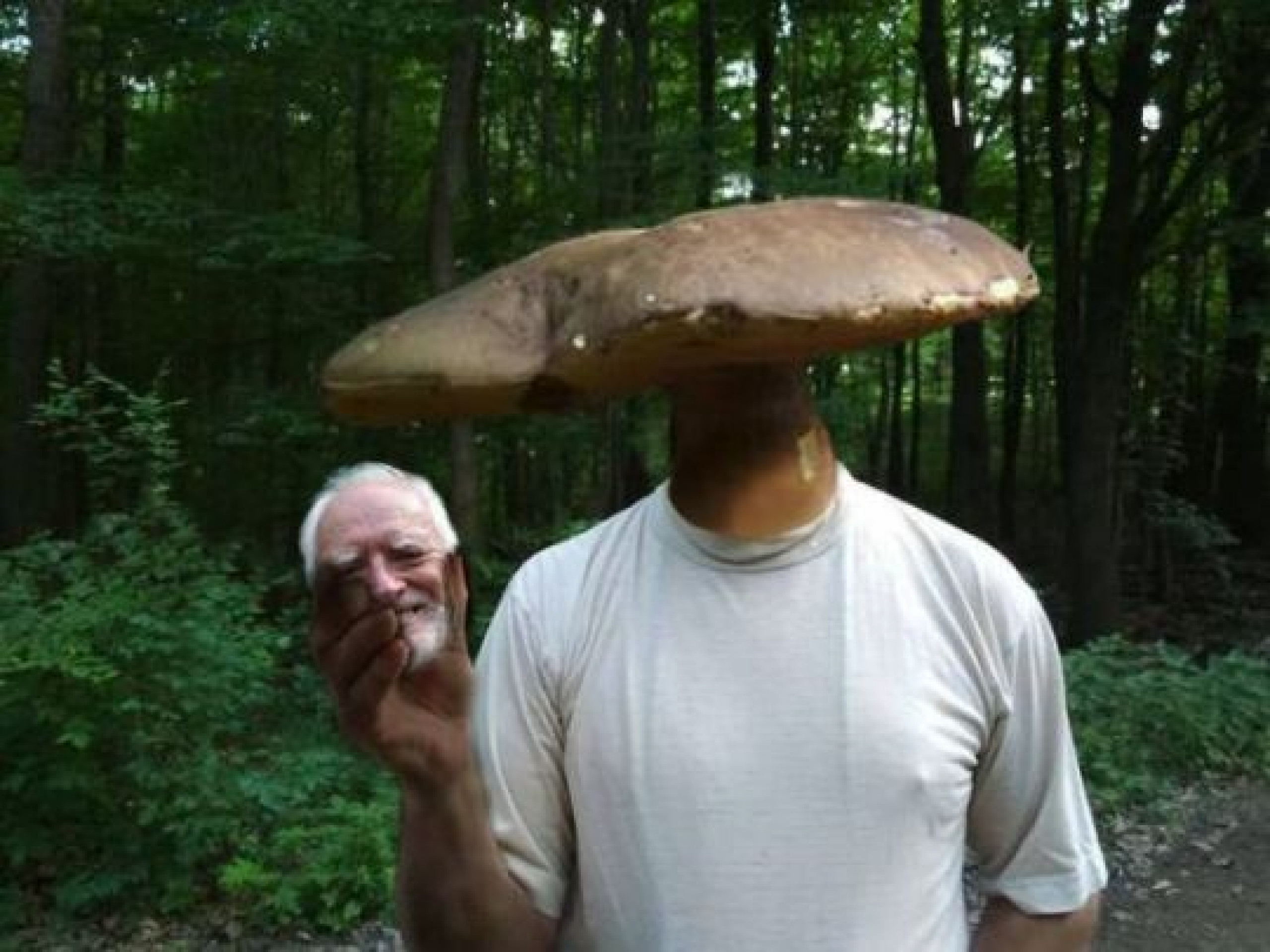 Боюсь есть грибы