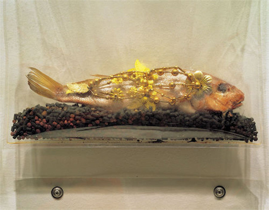 Lángolni kezdett az aranyba öltöztetett, rothadó hal a londoni galéria kortárs művészeti kiállításán