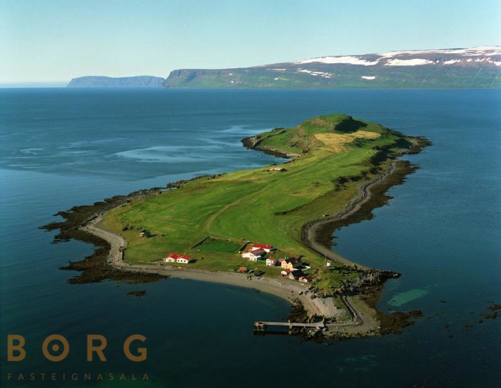Bárányokkal, hajókkal és szélmalommal együtt eladó egy egész sziget Izlandon