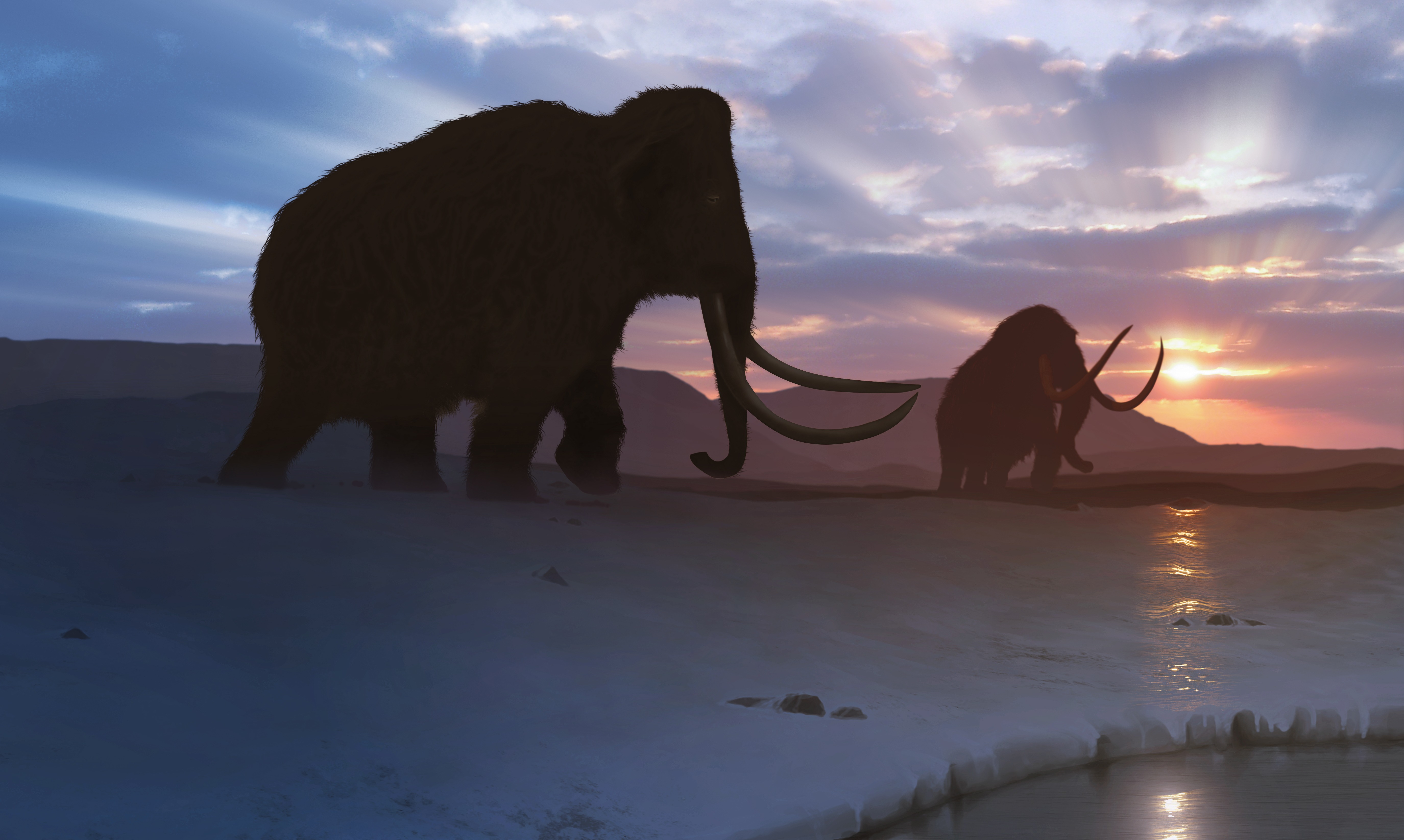A gyapjas mamut rekonstrukciója
