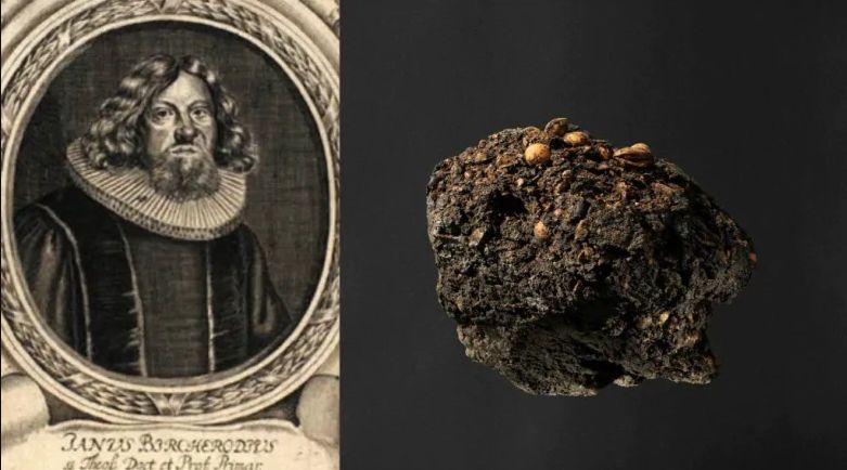 Dán tudósok kiderítették, ki kakilta azt a háromszáz éves kakit, amit egy aalborgi palotában találtak