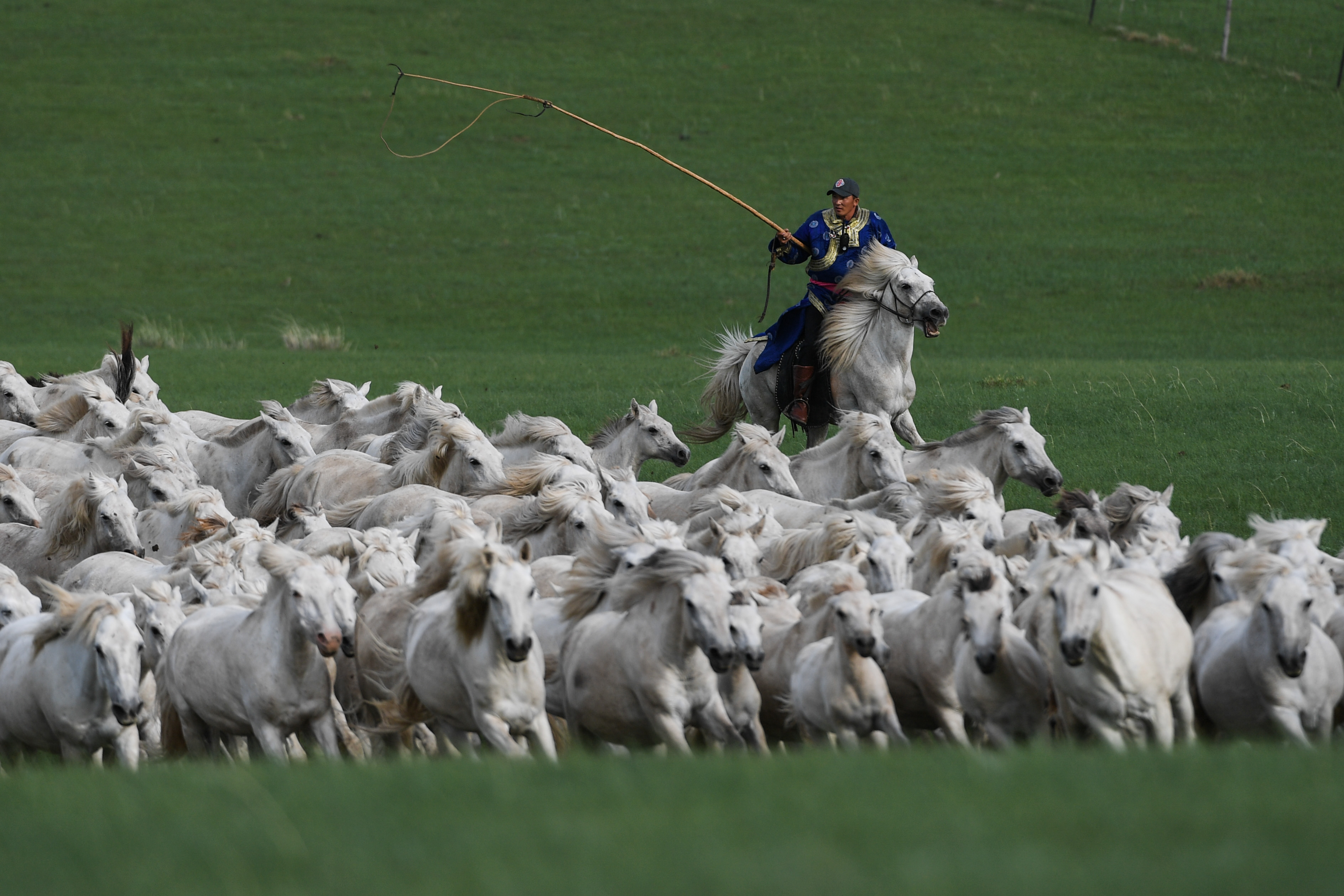 Csodás fotókon Belső-Mongólia lovas nomádjai