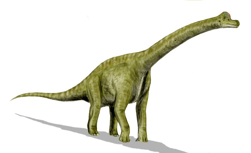 Minden idők legnagyobb dinoszaurusz-lábfejét sikerült azonosítani