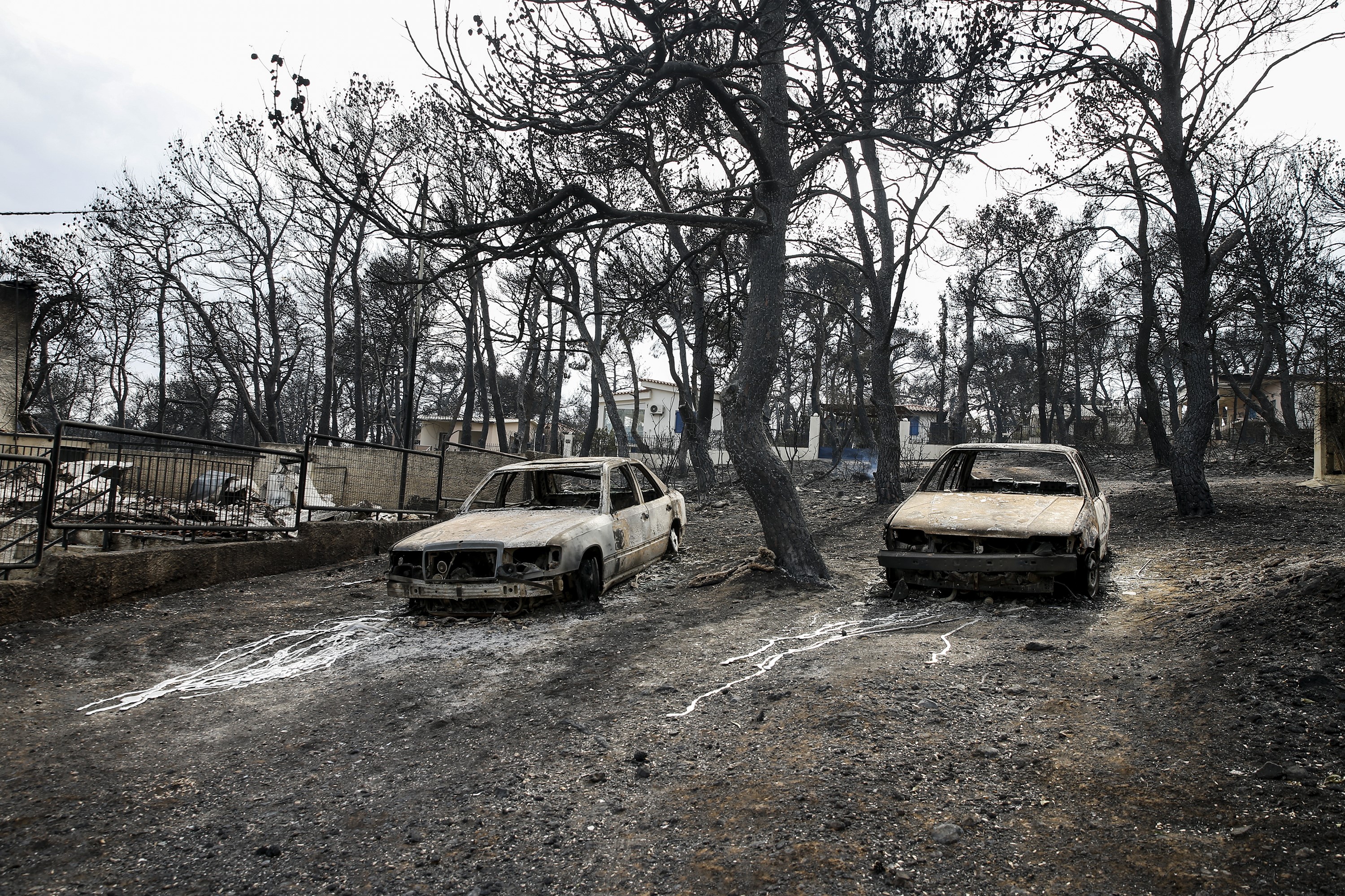 Már 81 halottja van a görögországi erdőtüzeknek, és még mindig sokakat keresnek