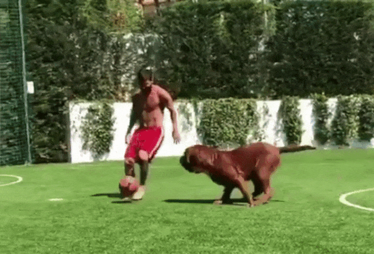 Messi bebizonyította, hogy le tud cselezni egy kutyát
