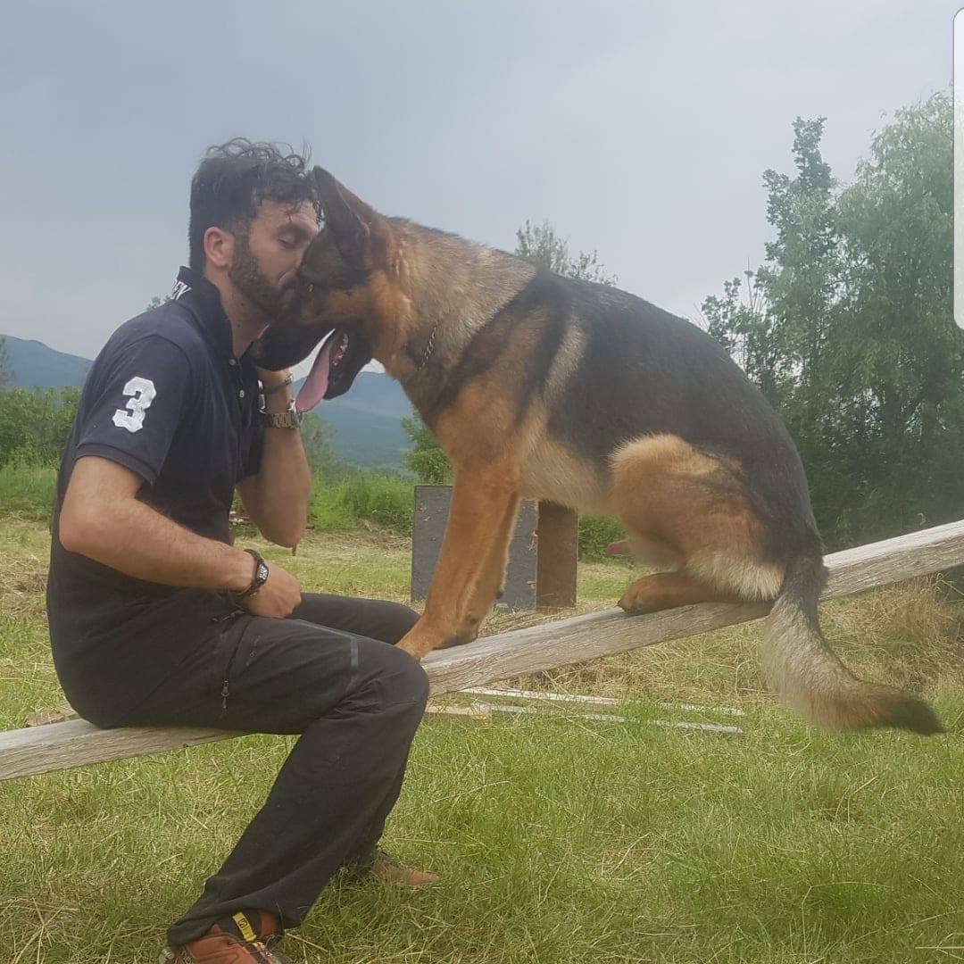 Tombolnak az olasz állatvédők: ismeretlenek megmérgezték a 2016-os földrengés után emberéleteket mentő kutyát, Kaost