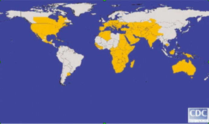 Nyugat-nílusi láz világszerte, 2006-ban