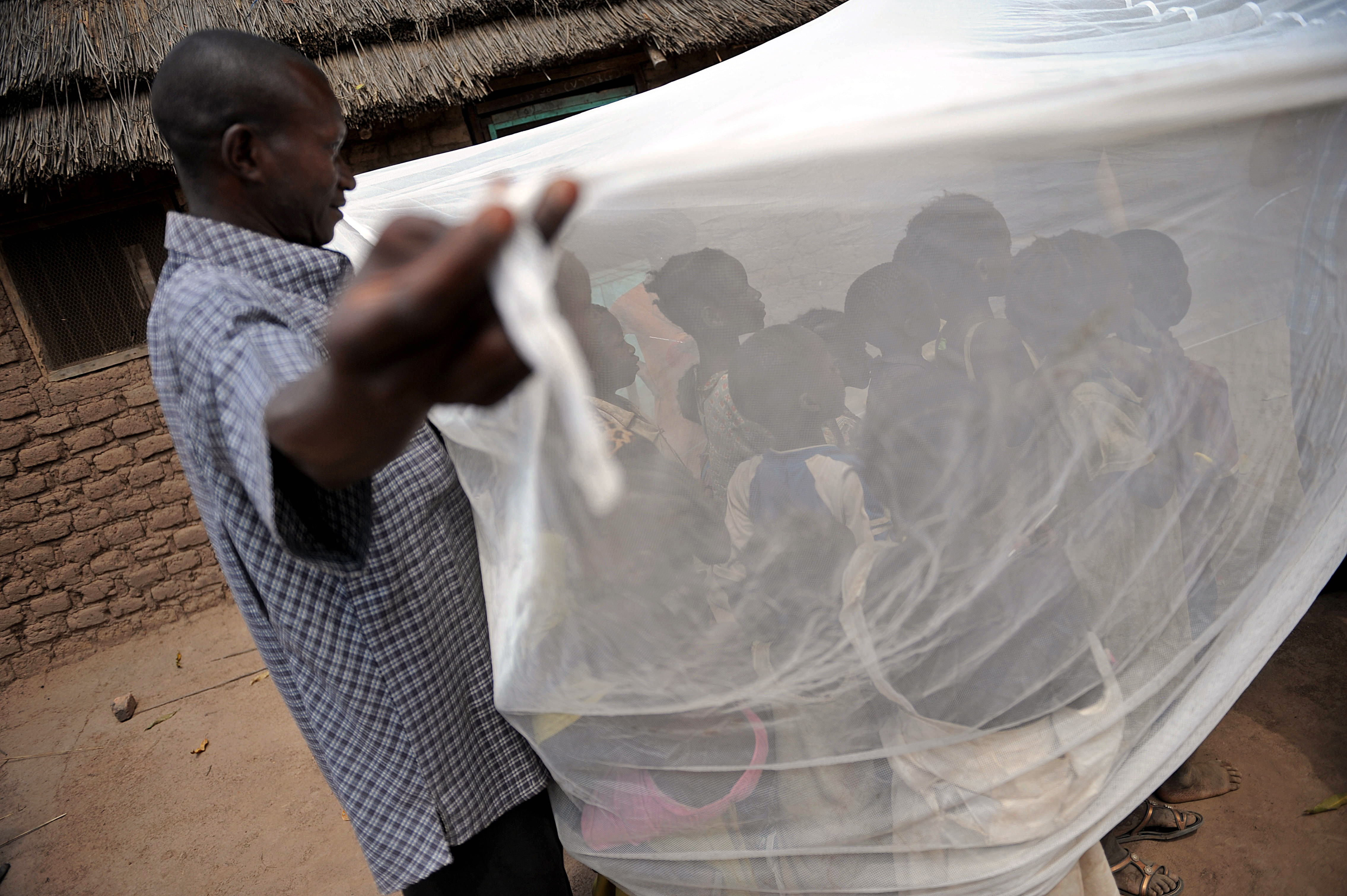 WHO: Afrikában megkétszereződhet a malária halálos áldozatainak száma
