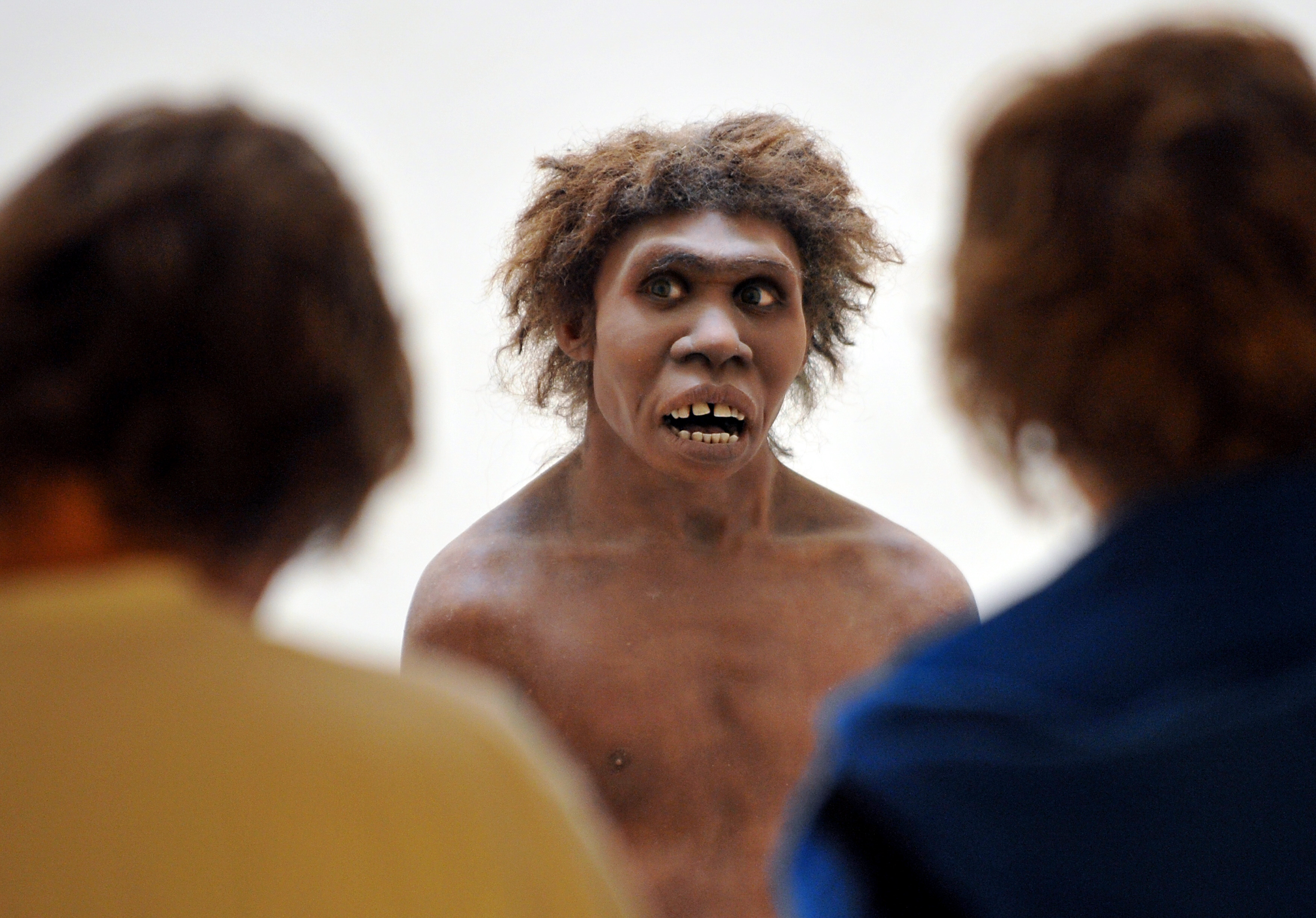 Neandervölgyi ember rekonstrukciója egy franciaországi kiállításon