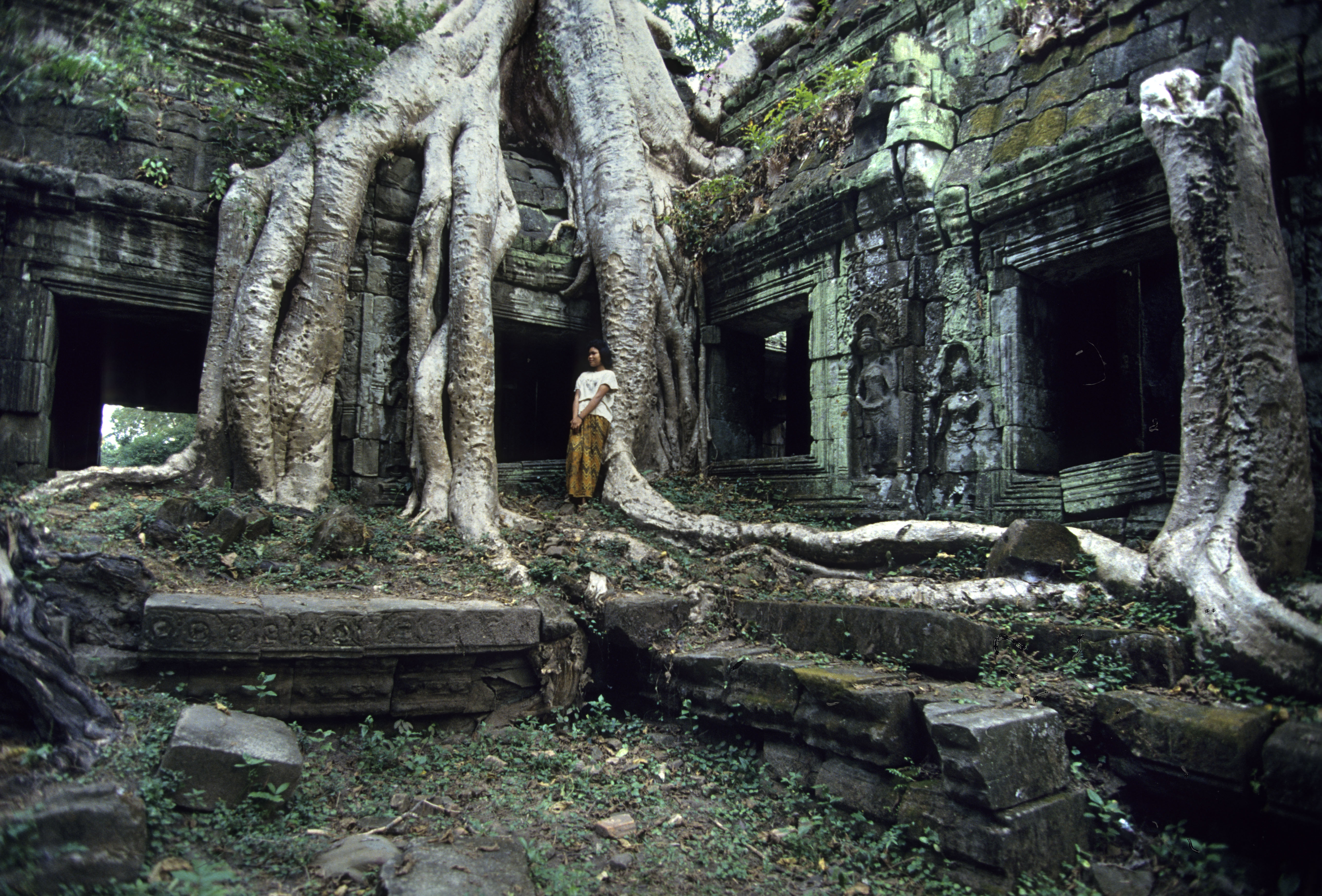 A Ta Prohm buddhista templom és kolostor Angkorban, a mai Kambodzsában. Angkor vesztét is a szárazság okozta?