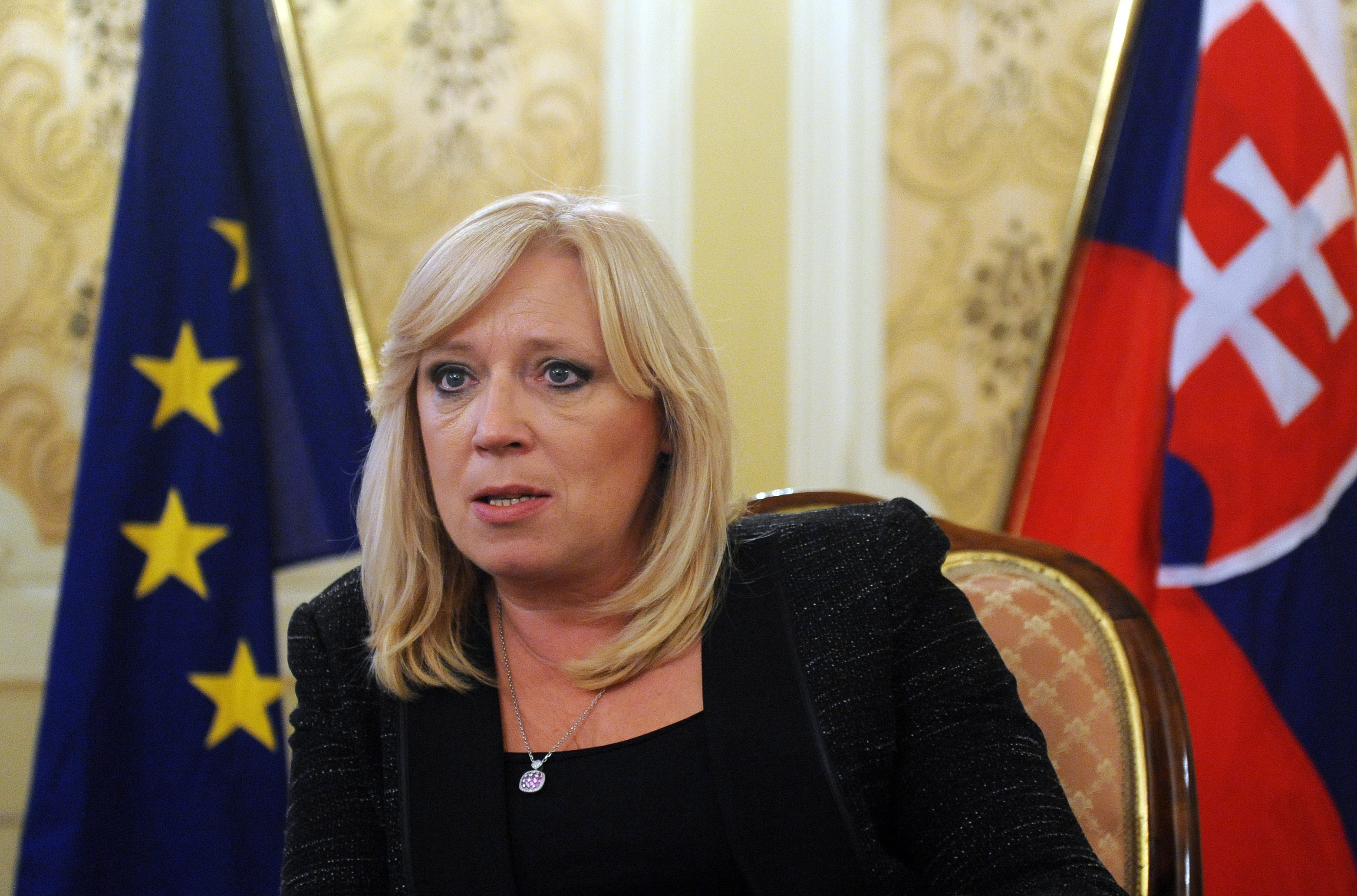 Iveta Radicova szlovák miniszterelnök a görög mentőcsomagról szóló koalíciós vitába bukott bele.