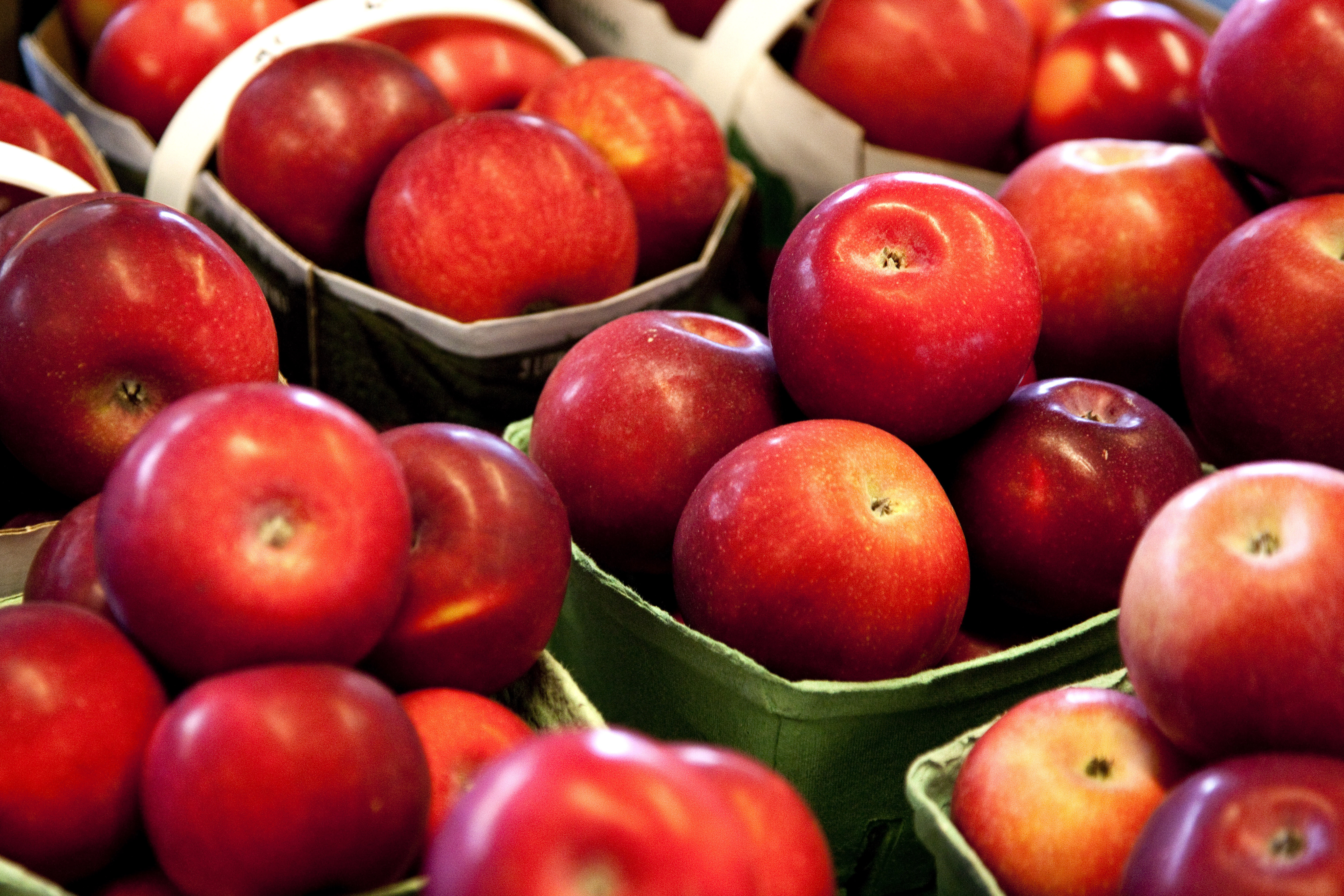 Fillérekért vásárolják fel a magyar almát