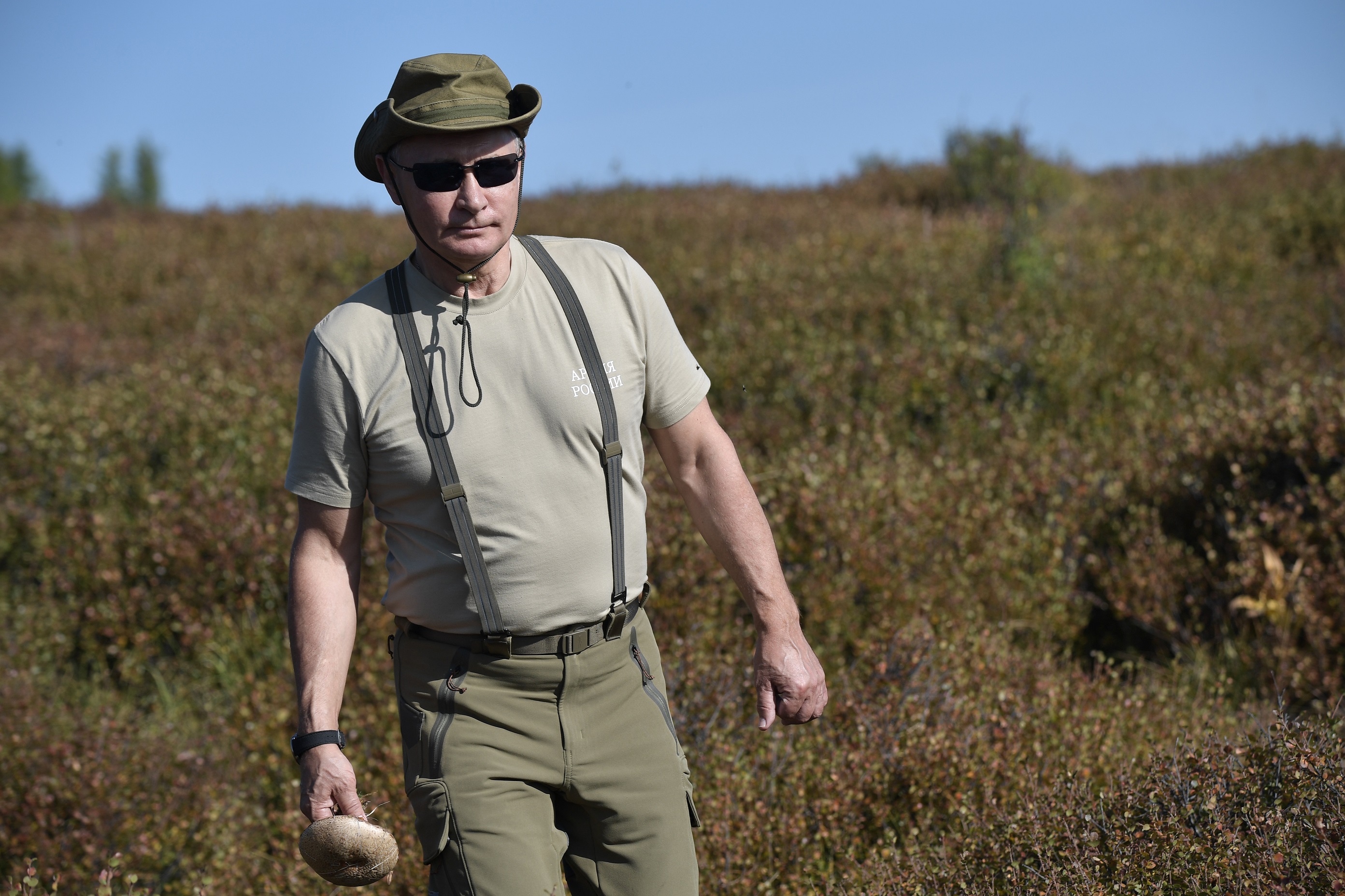 Vlagyimir Vlagyimirovics Putyin találkozása jámbor állatokkal