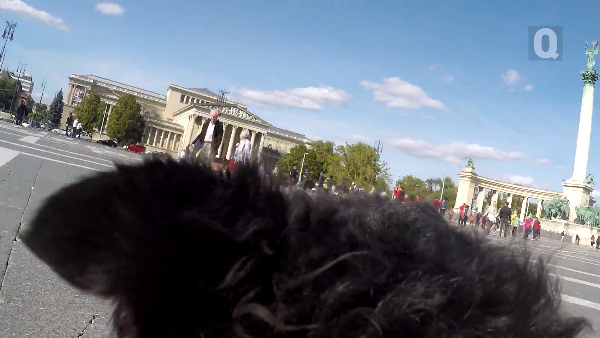 Kumisz, a kutya a hátára vett egy kamerát, aztán a nyakába vette Budapestet