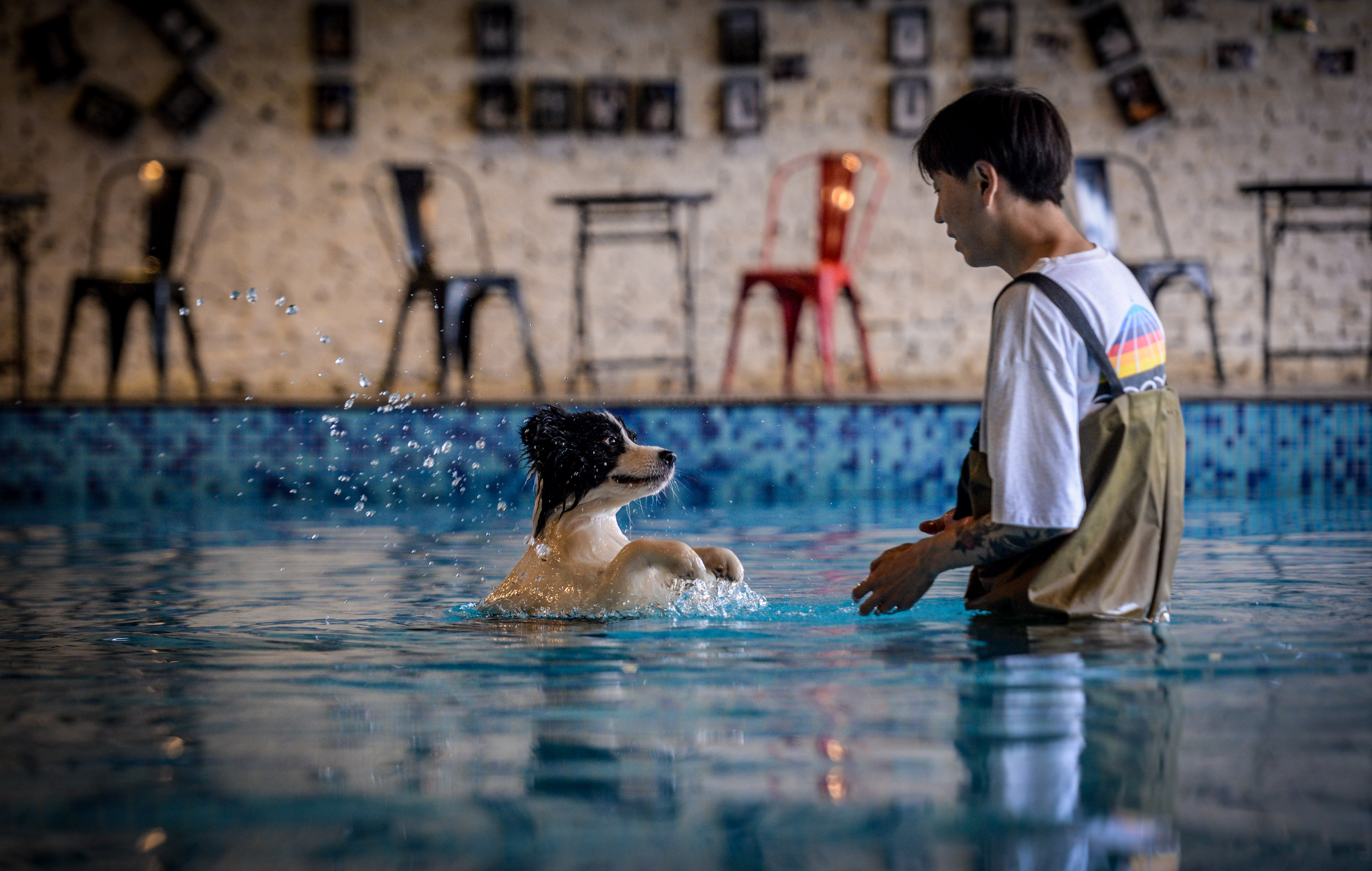 A kínai Csinanban bevezették a kutyatartó jogosítványt