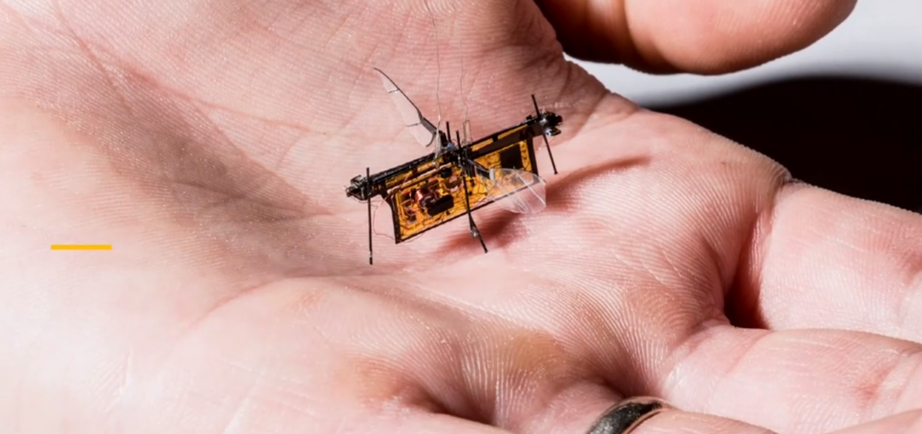 Itt a világ első rovarméretű robotja, amely már magától is tud repülni