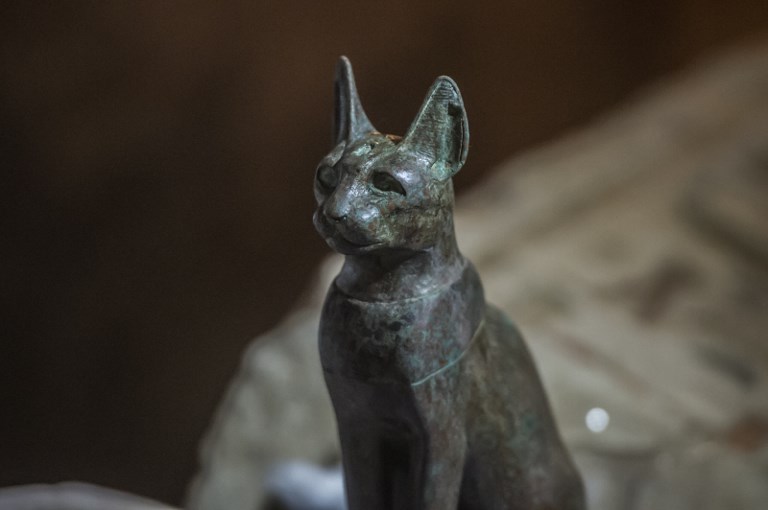 Több mint négyezer éves macskamúmiák tucatjaira bukkantak