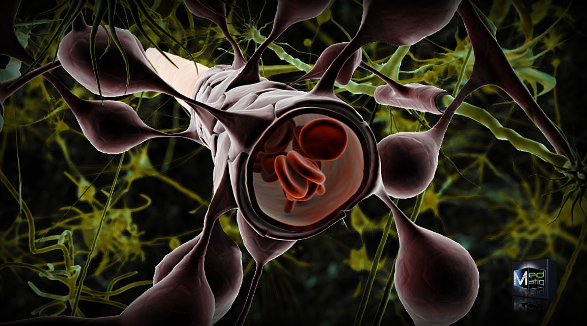 A vér-agy gát illusztrációja