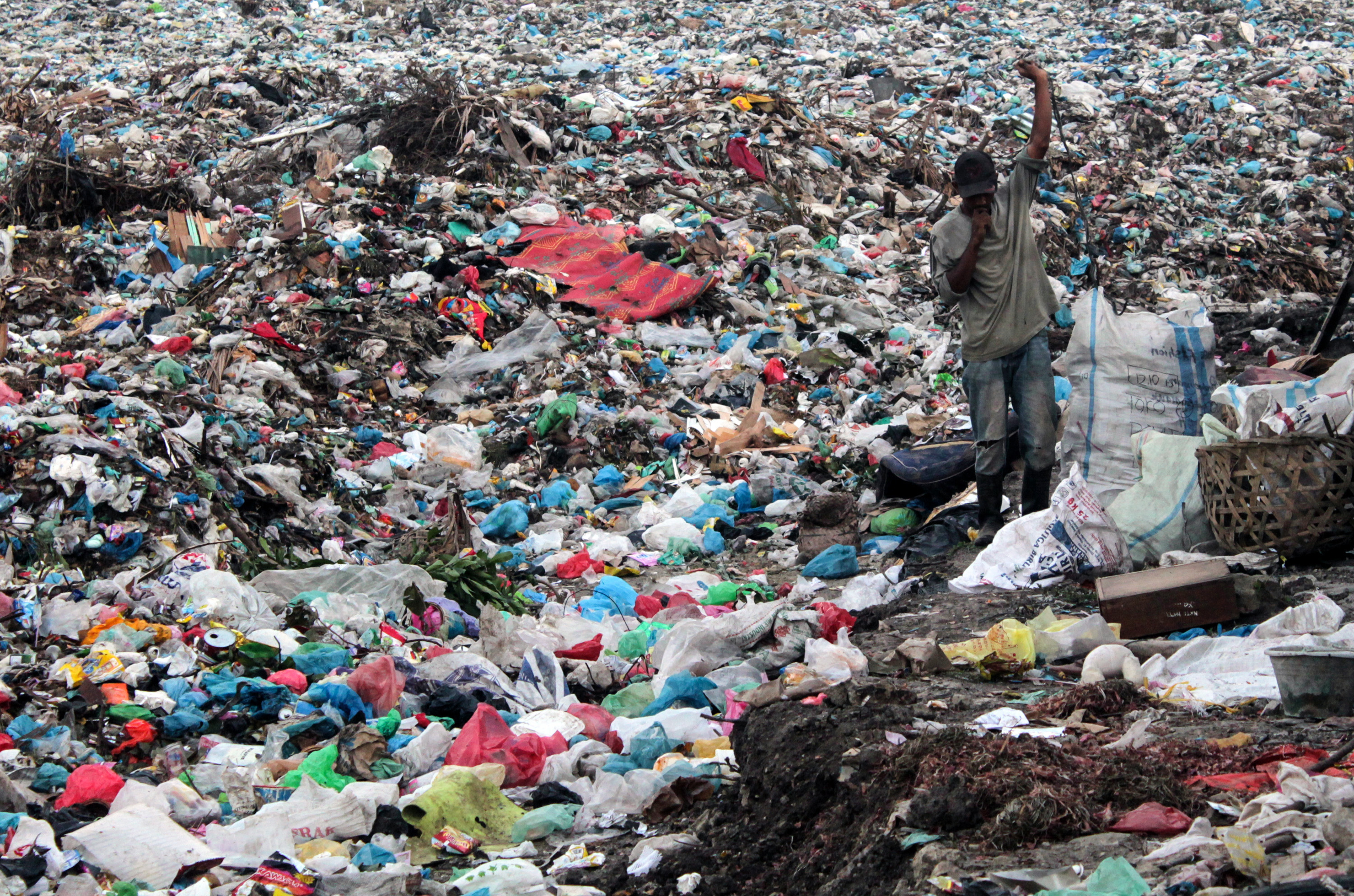 A kutatások szerint 2050-ben darabra több lesz a műanyaghulladék a tengerekben, mint a hal.