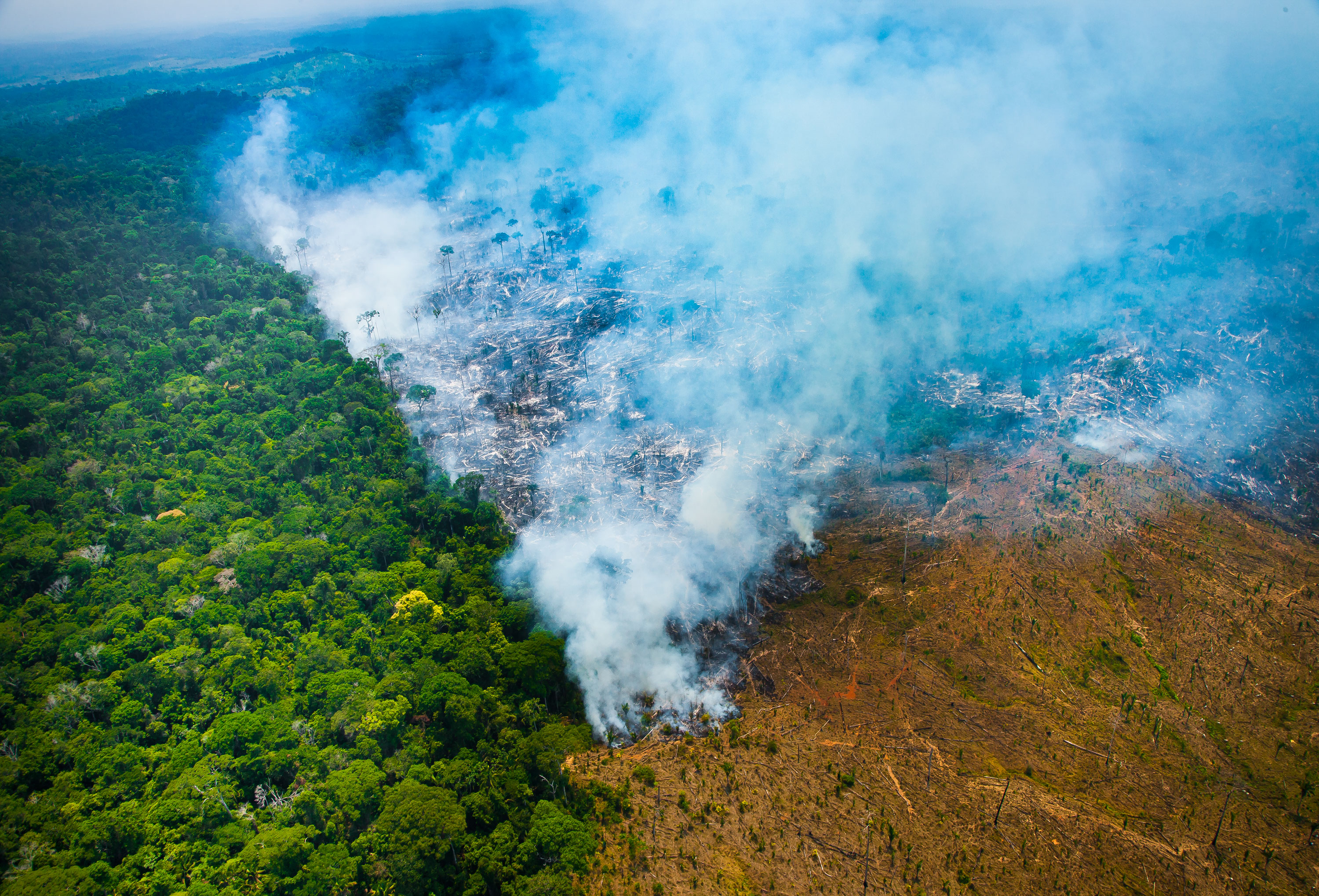 Egyetlen év alatt 7900 négyzetkilométernyi esőerdőt irtottak ki Brazíliában