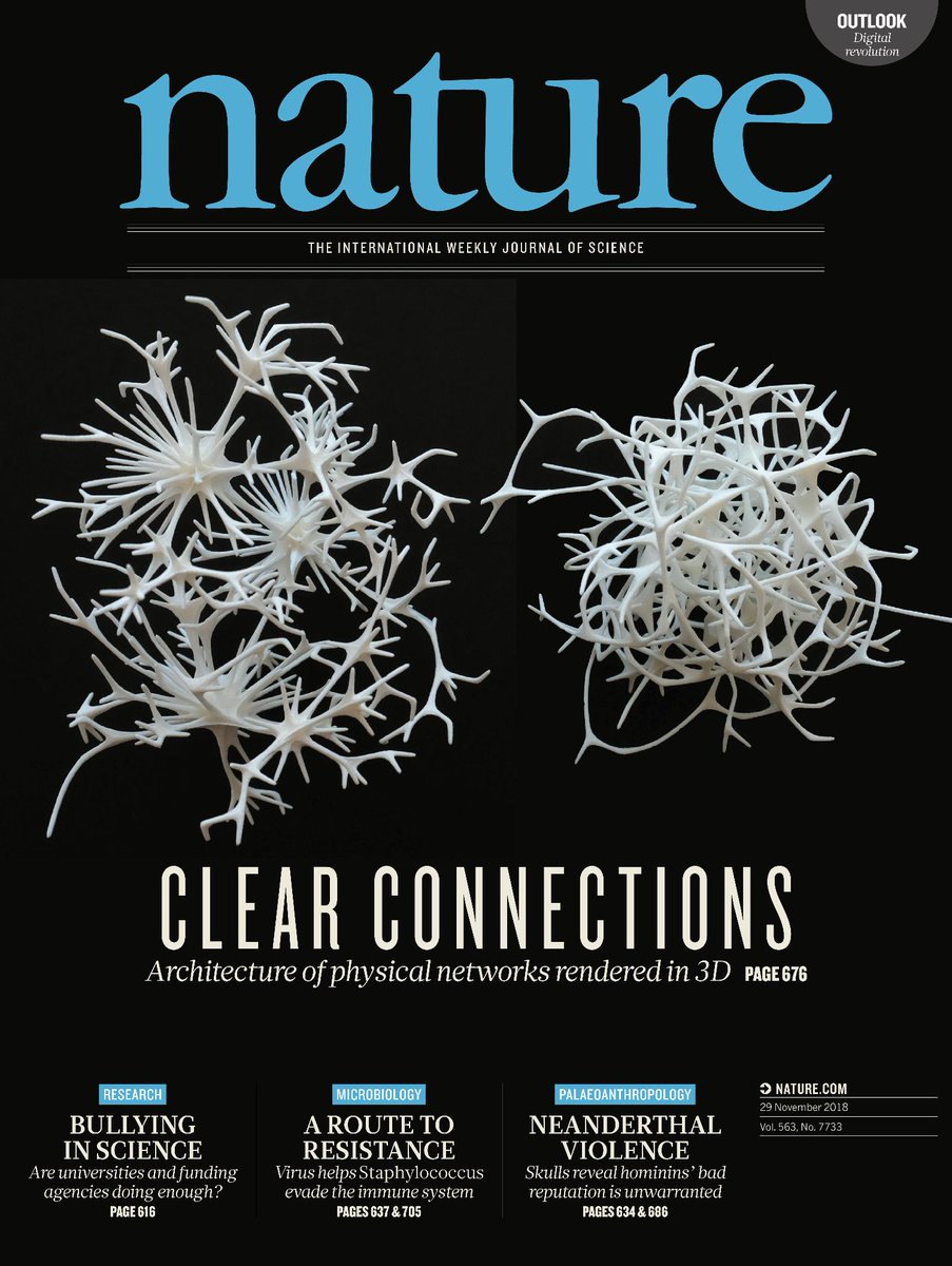A CEU magyar kutatójának munkája a Nature címlapjáig jutott