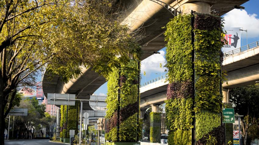 A városok vertikális kertjei csak szemfényvesztésre jók?